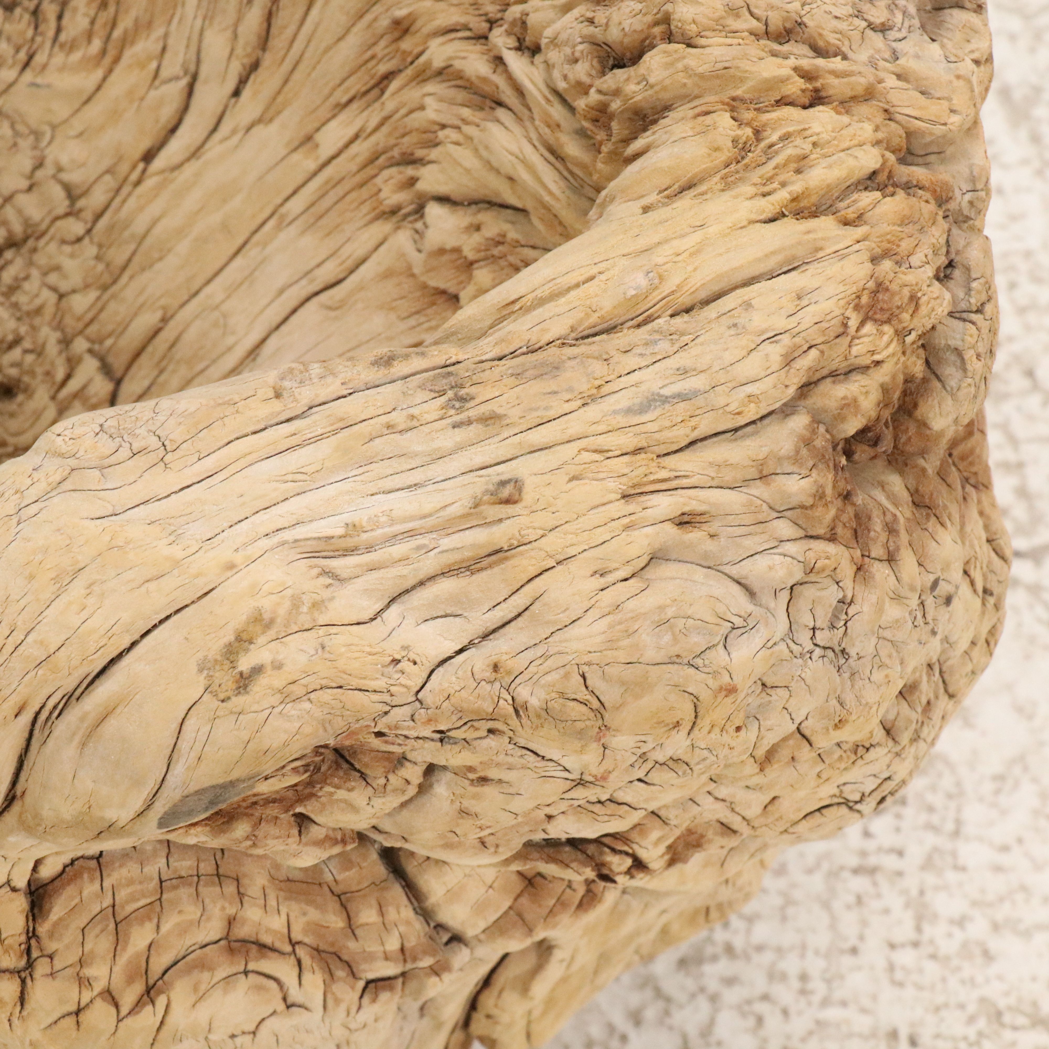 Natural Root Burl Planter