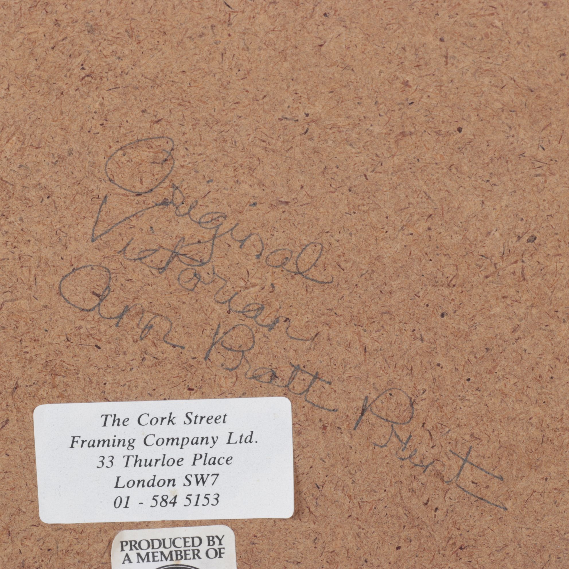 Anne Pratt Chromolithographs of Various Mallows, Mid-19th Century