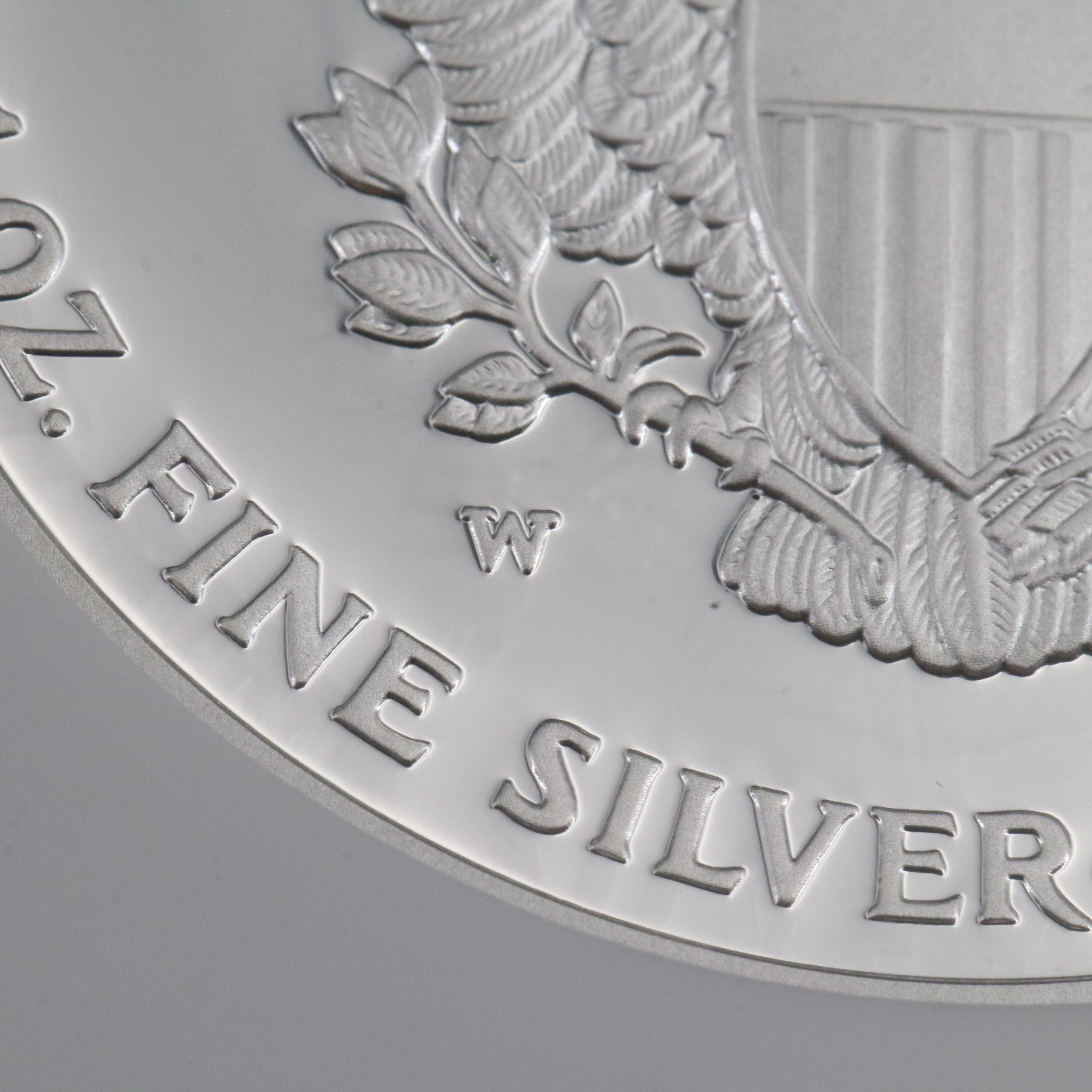 NGC Graded PF69 Ultra Cameo 2007-W $1 U.S. Silver Eagle Proof Coin