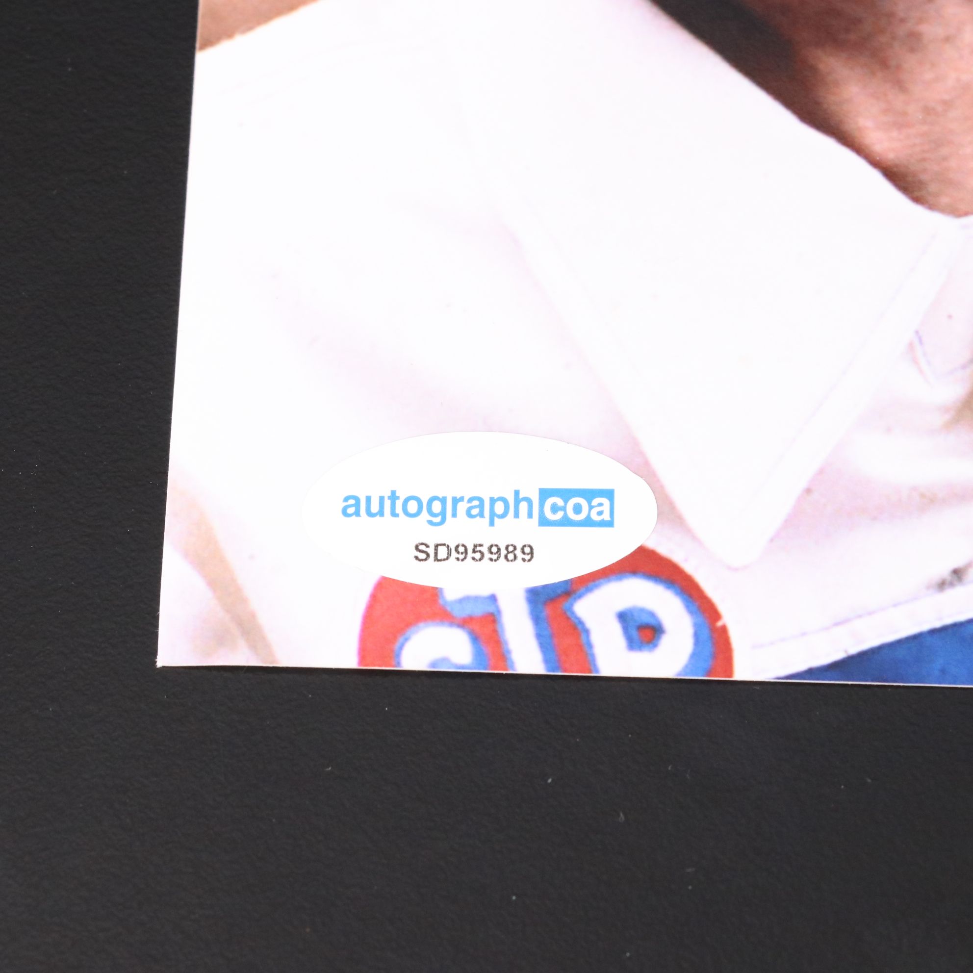 Richard Petty Signed NASCAR Racing Print
