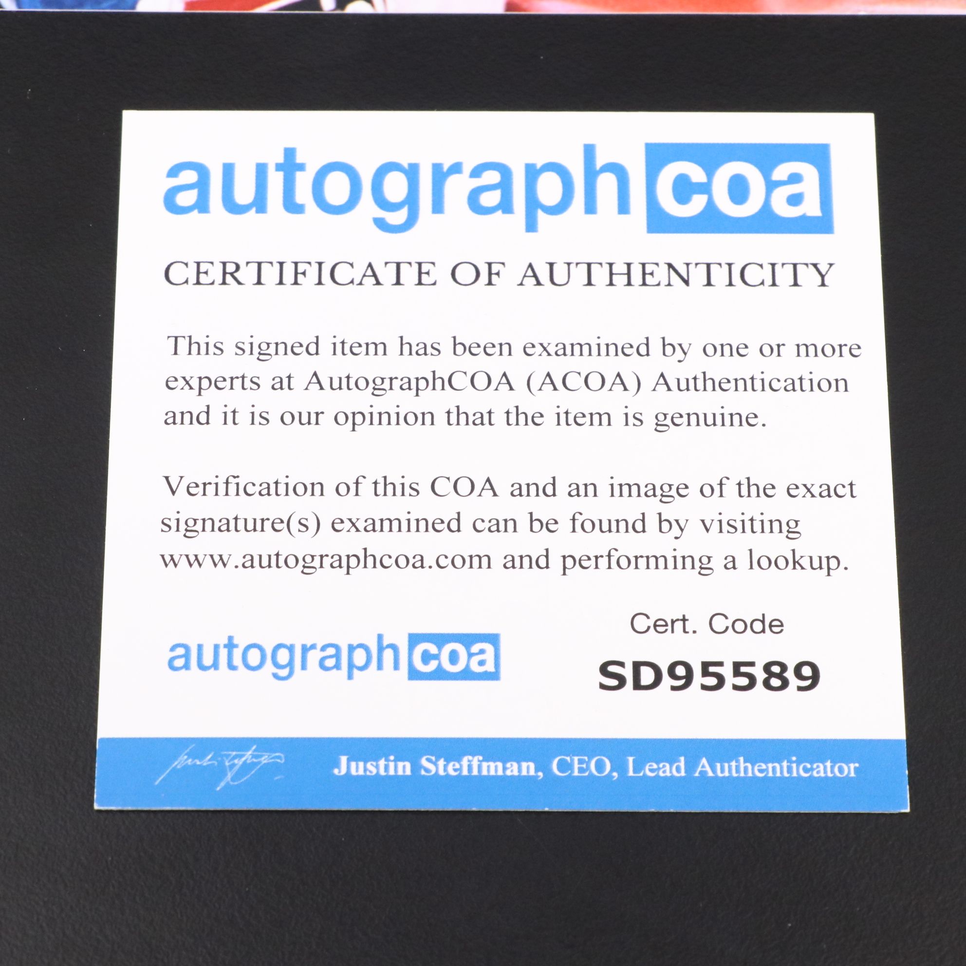 Richard Petty Signed NASCAR Racing Print