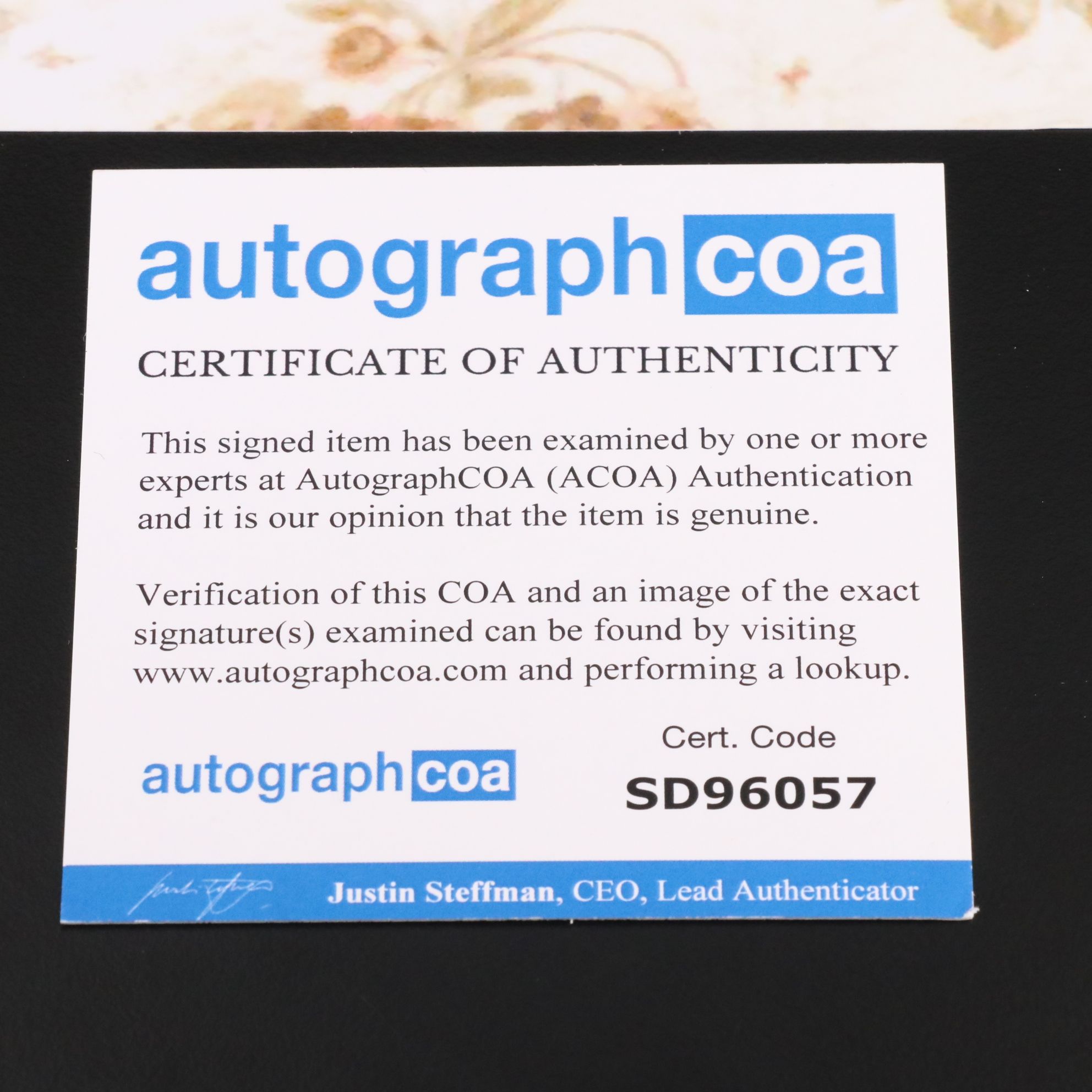 Carl Burnett Signed TV Show Print