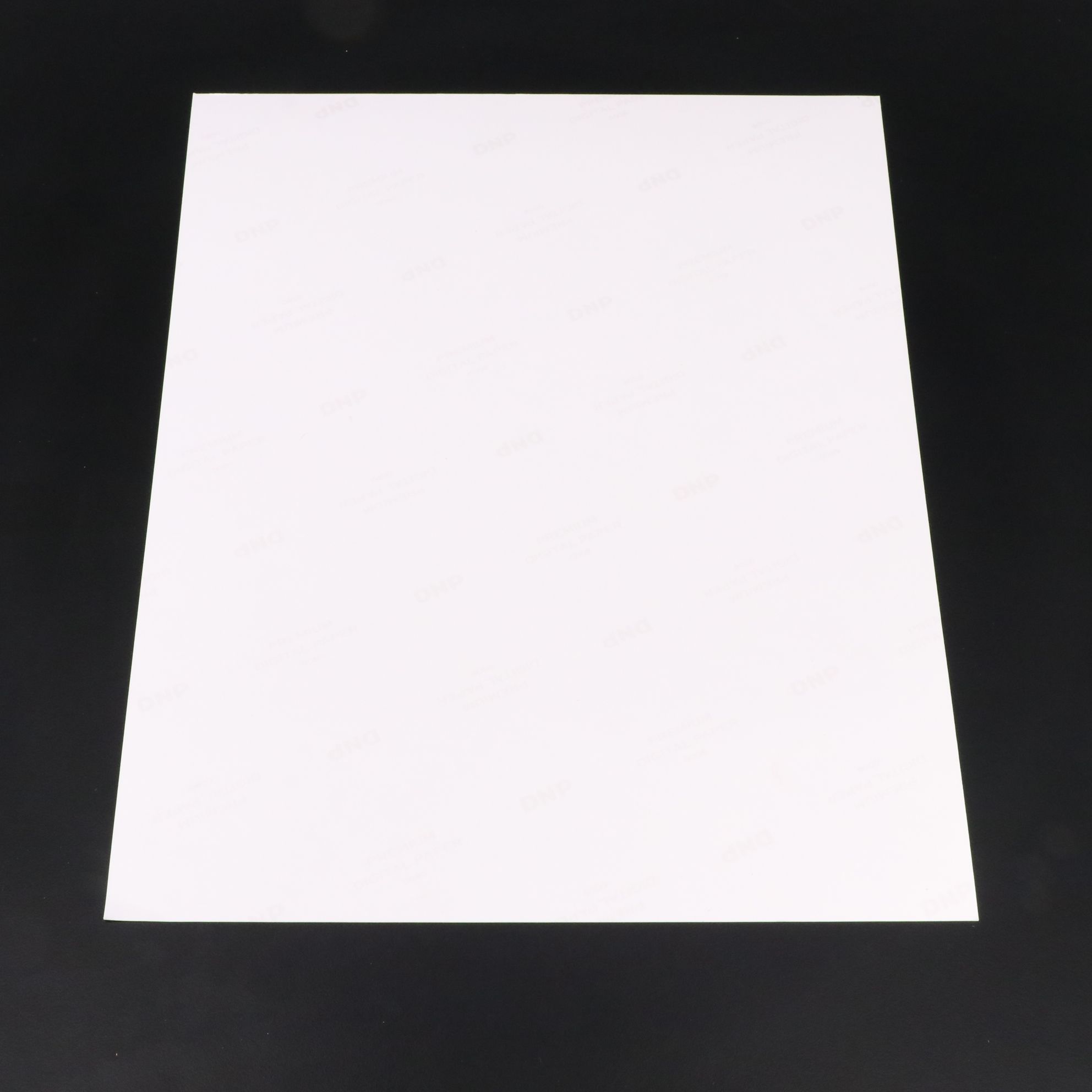 Barbara Eden Signed "I Dream of Jeannie" TV Print