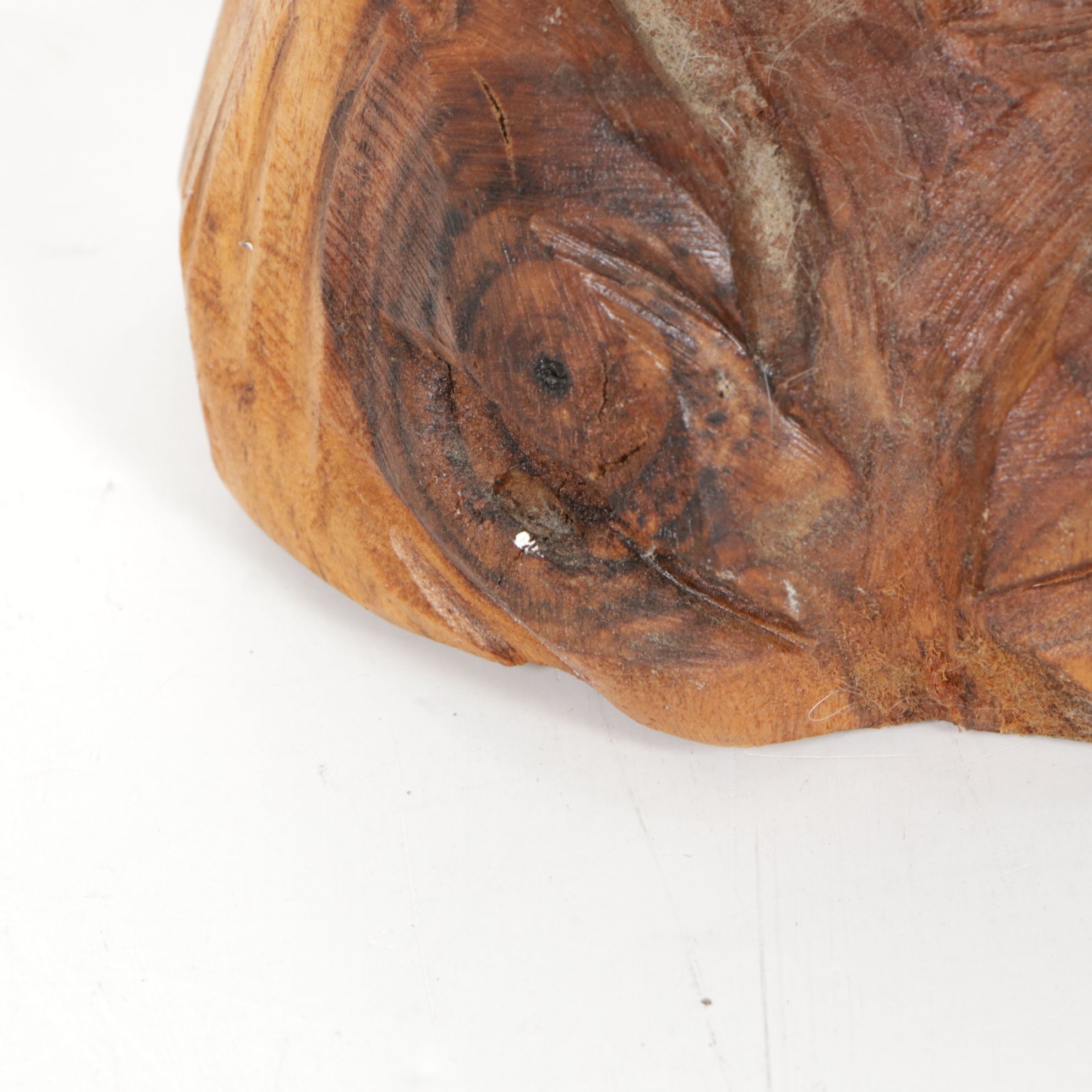 Small Chainsaw Sculpture Wooden Begging Dragon