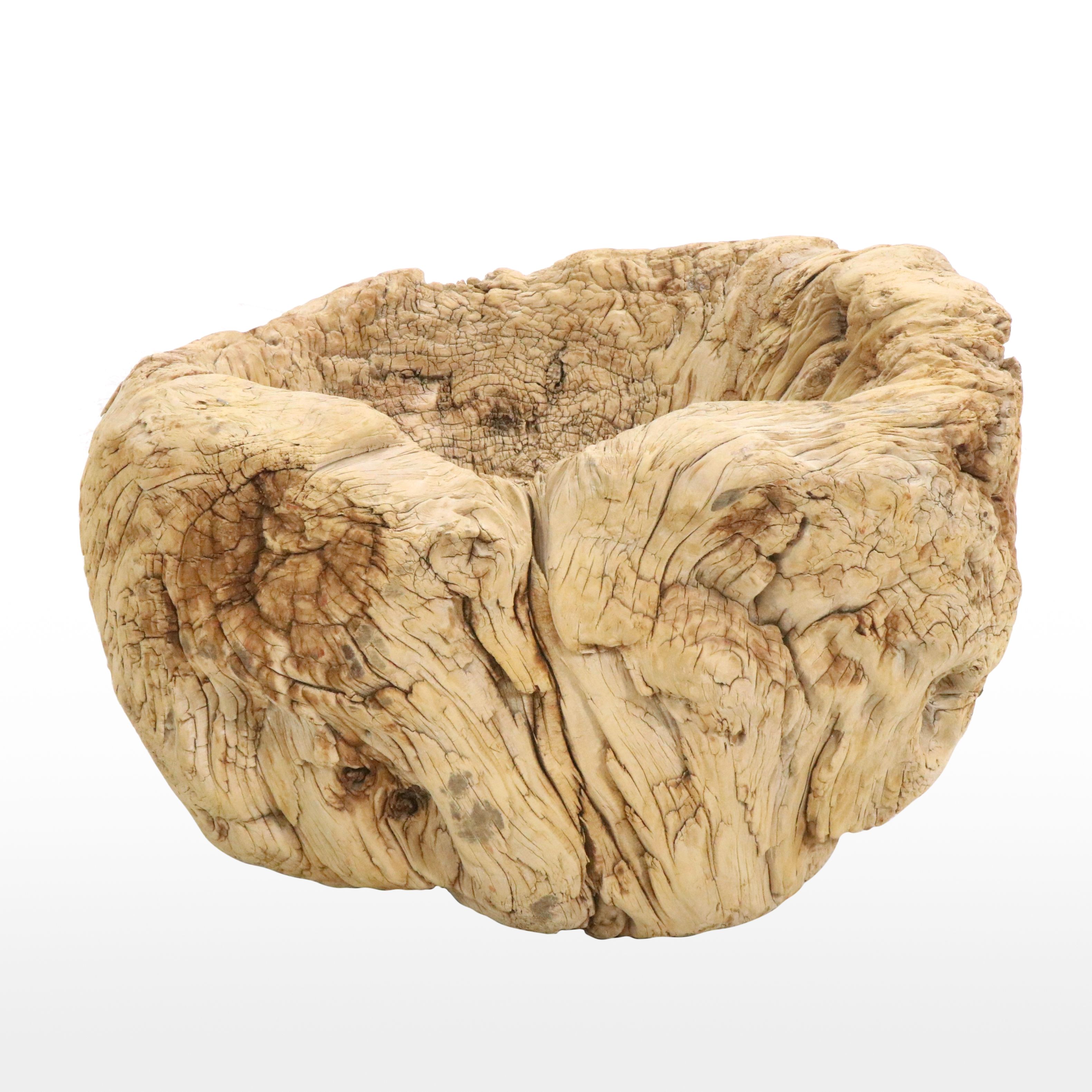 Natural Root Burl Planter