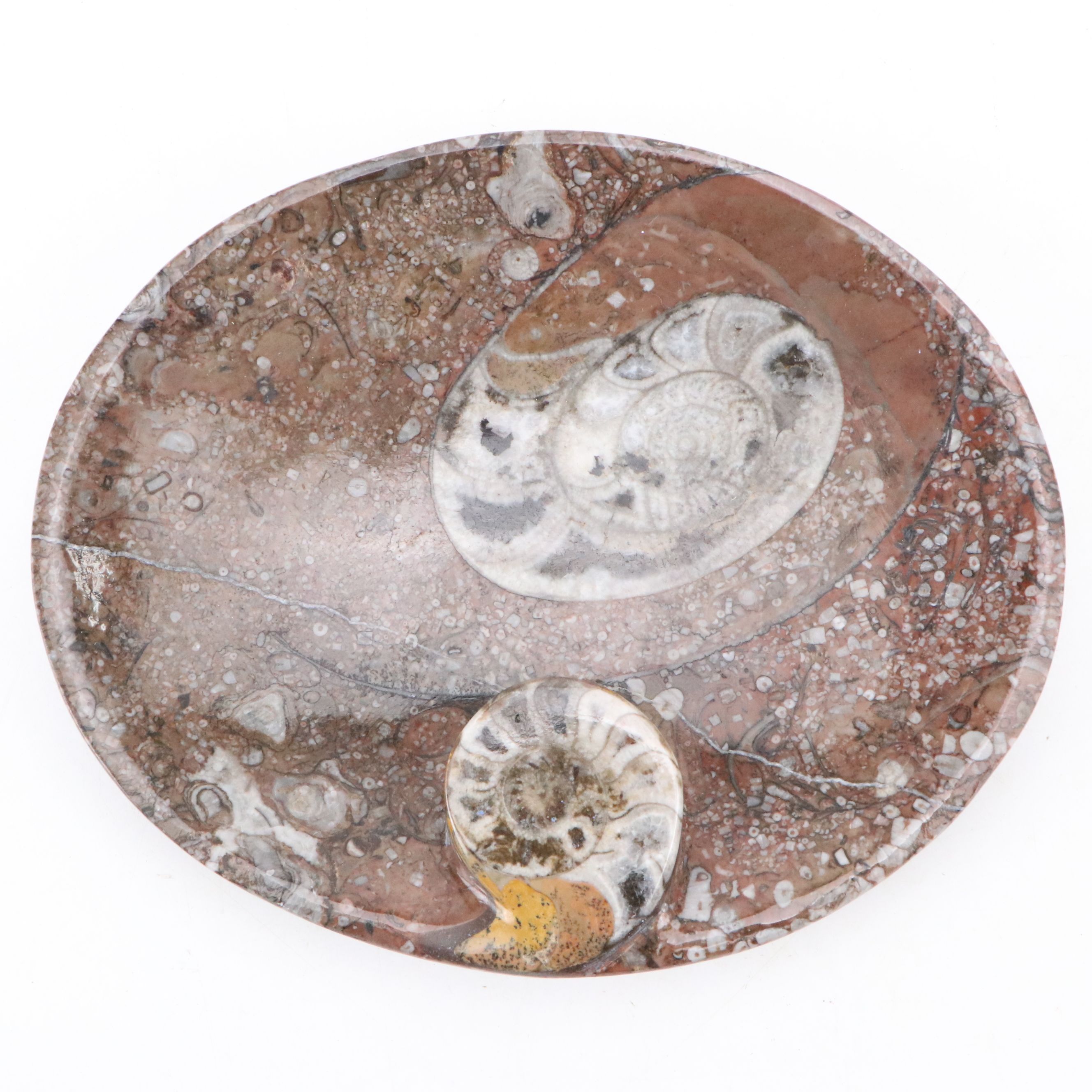 Goniatite Fossil Carved Oval Dishes
