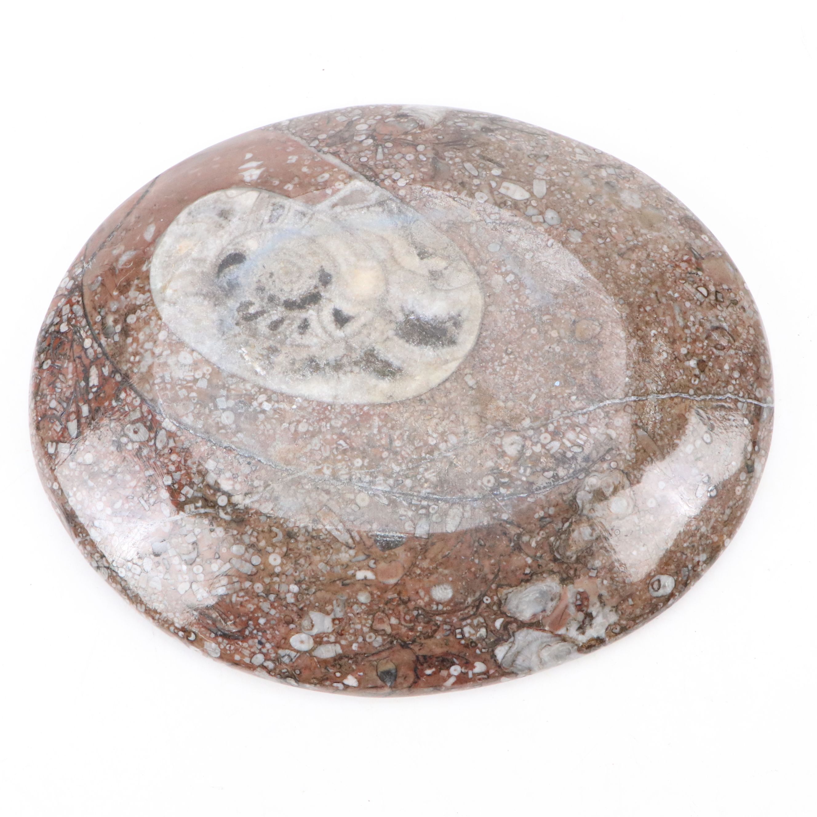 Goniatite Fossil Carved Oval Dishes