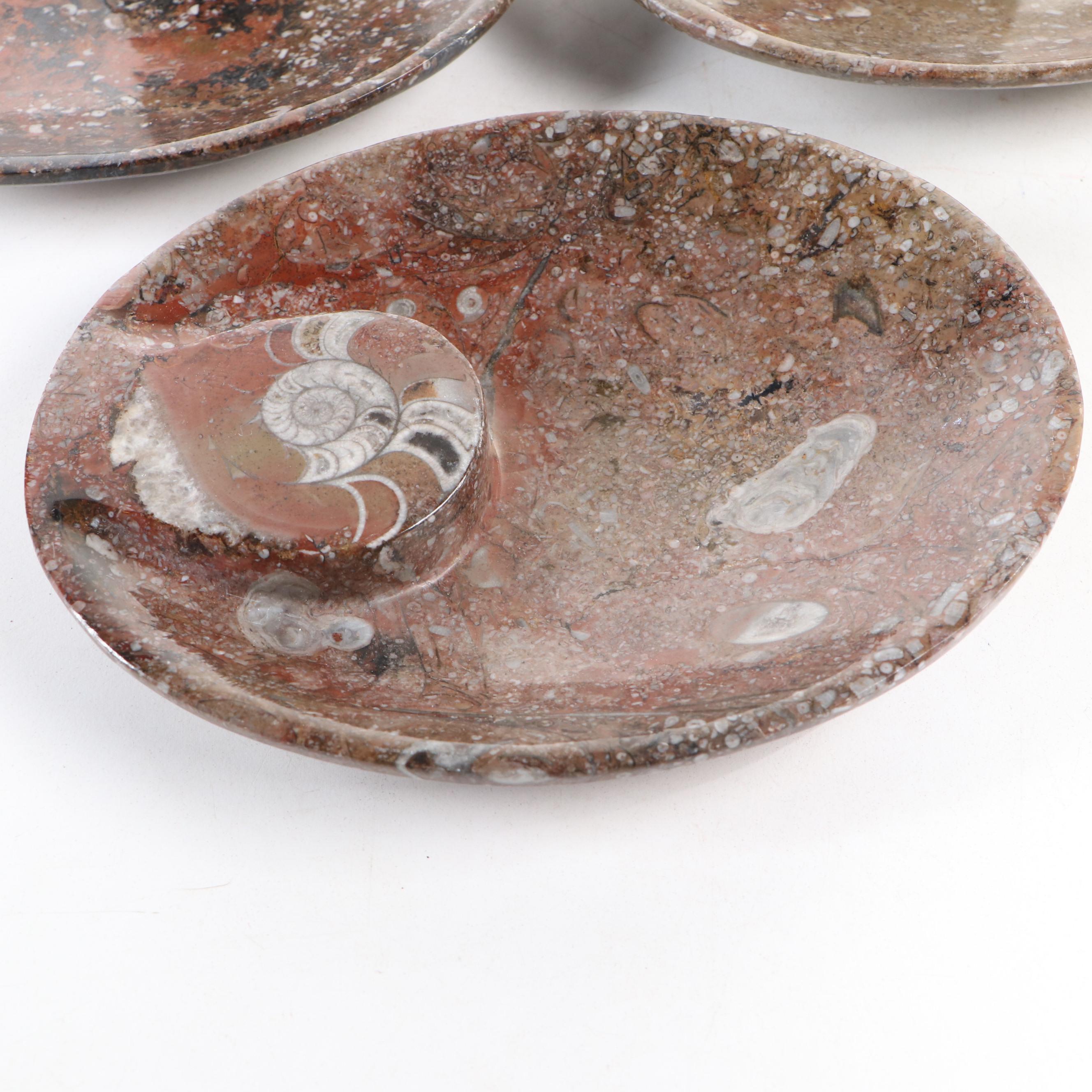 Goniatite Fossil Carved Oval Dishes