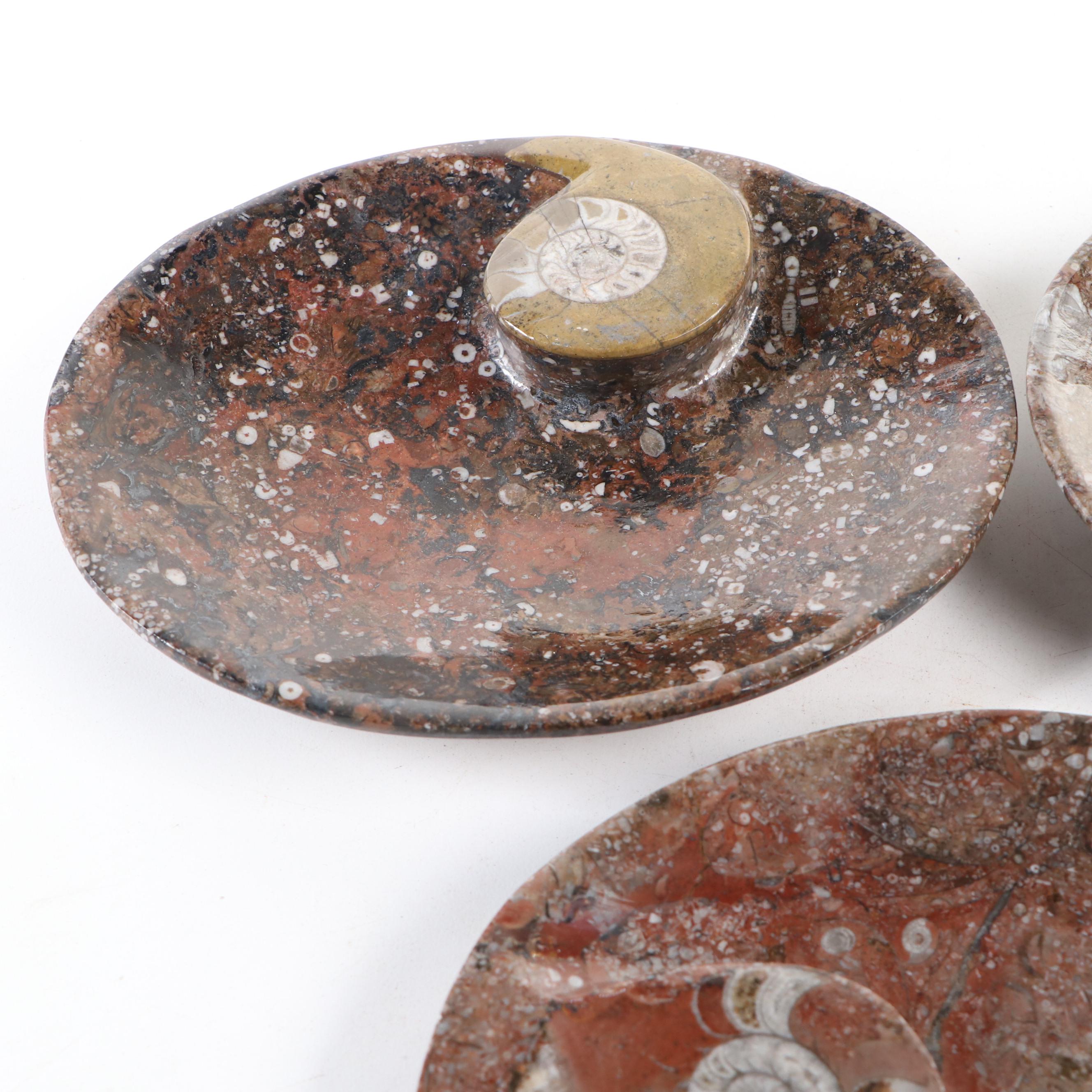 Goniatite Fossil Carved Oval Dishes