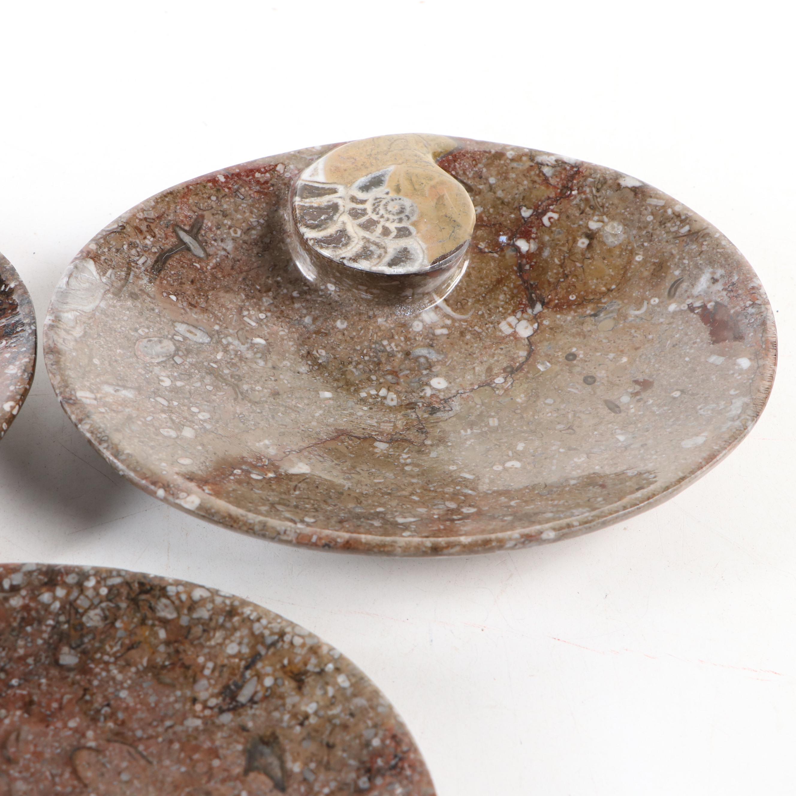 Goniatite Fossil Carved Oval Dishes