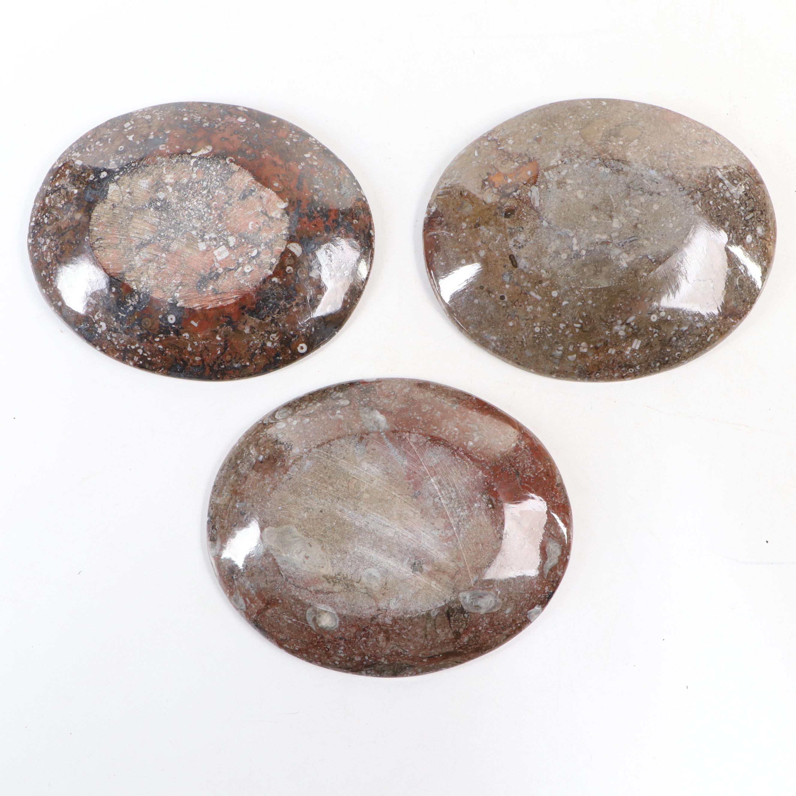 Goniatite Fossil Carved Oval Dishes