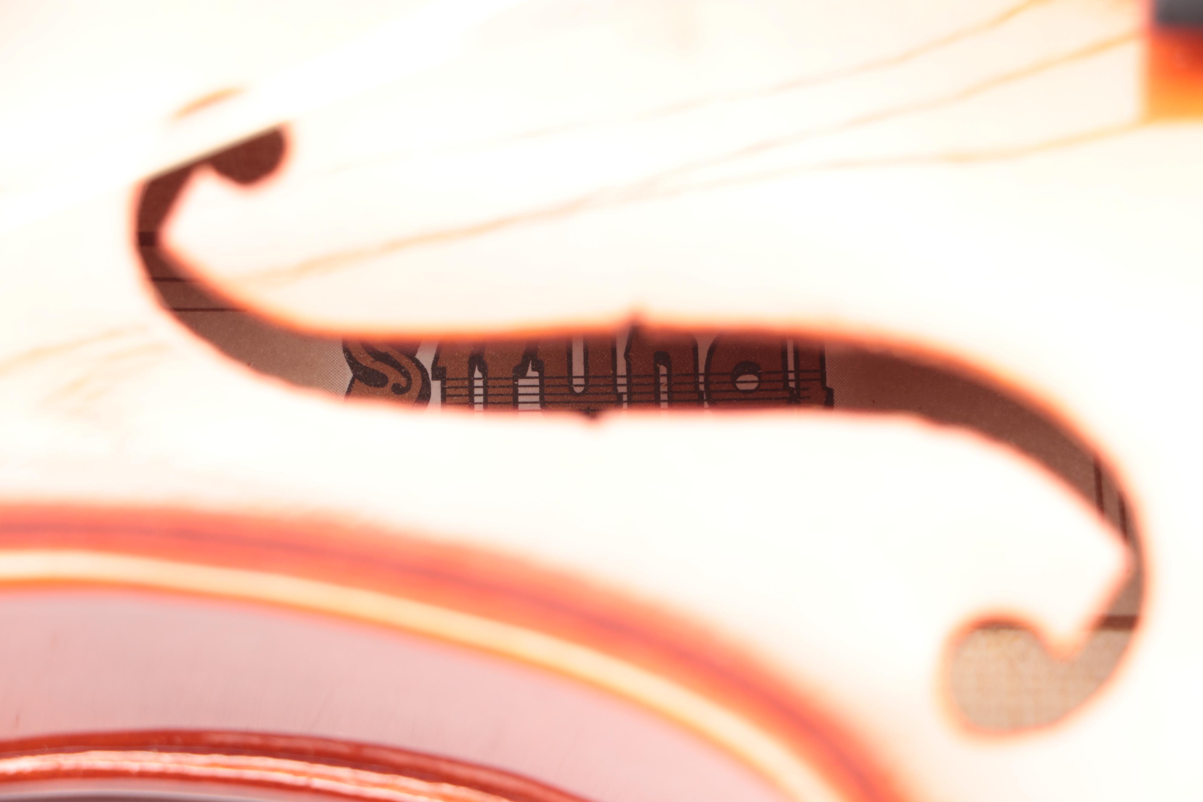 Strunal 4/4 Violin with Canvas Travel Case and Bow