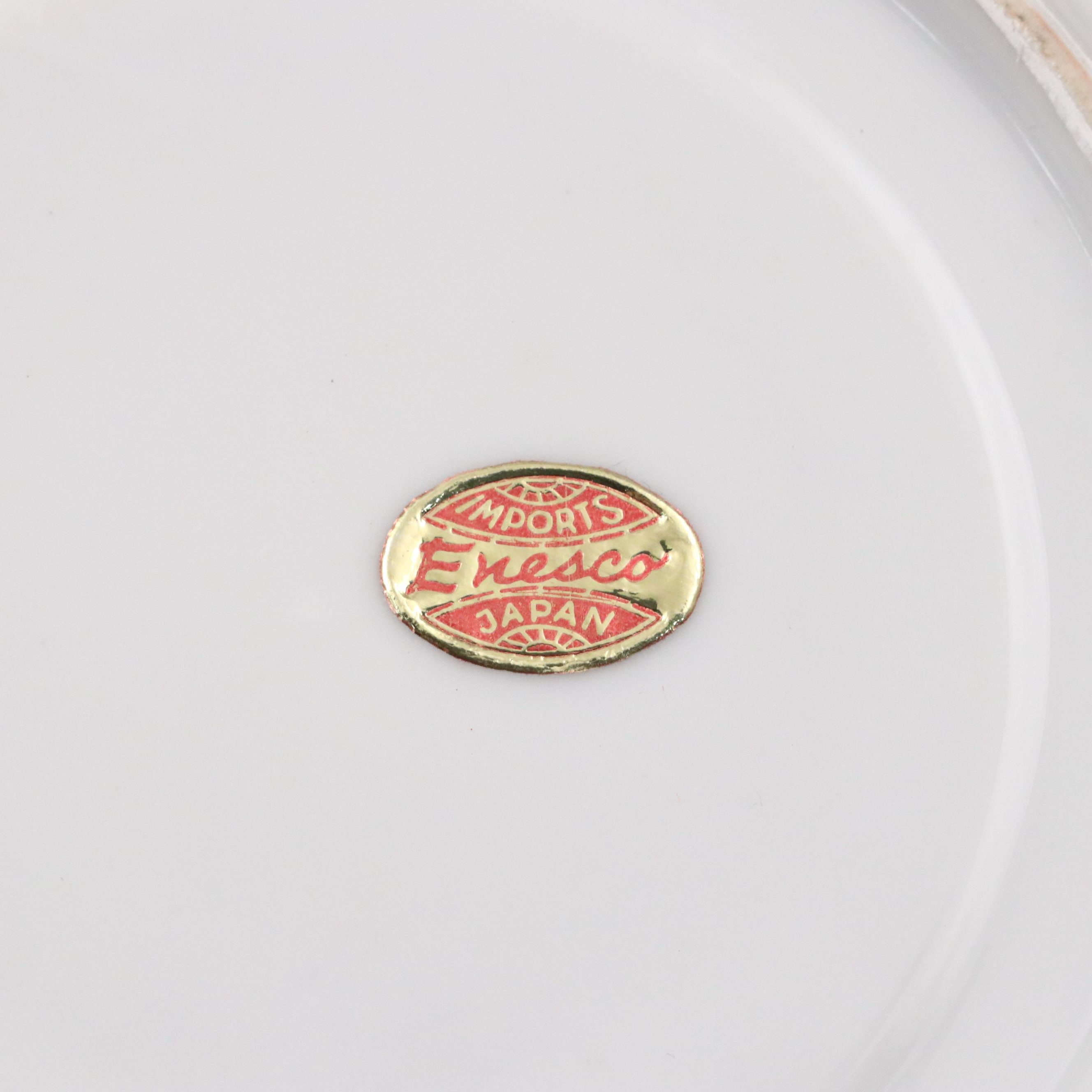 Vintage Iridescent Enesco Cup and Saucer with Eschenbach Dinnerware