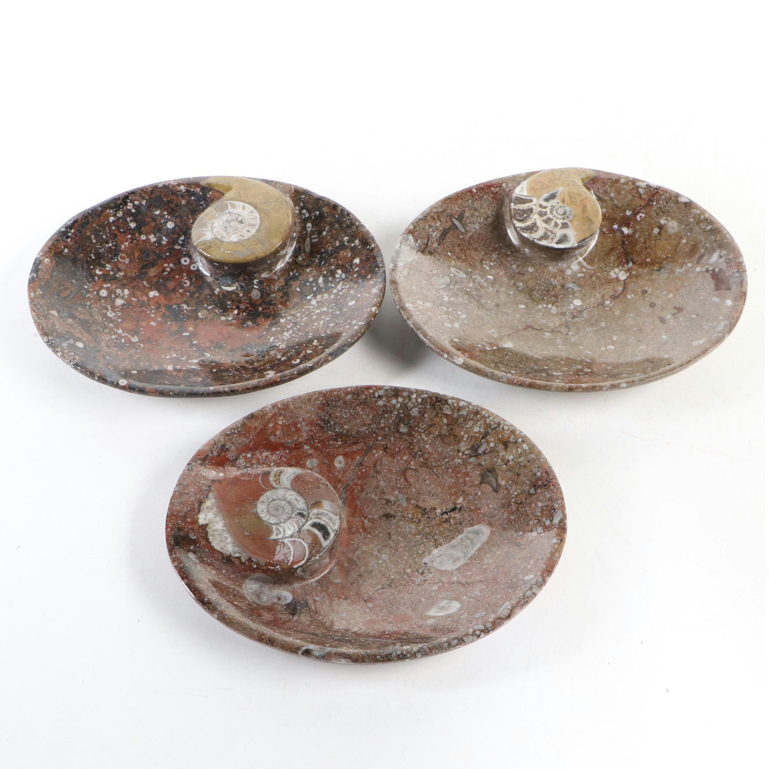 Goniatite Fossil Carved Oval Dishes