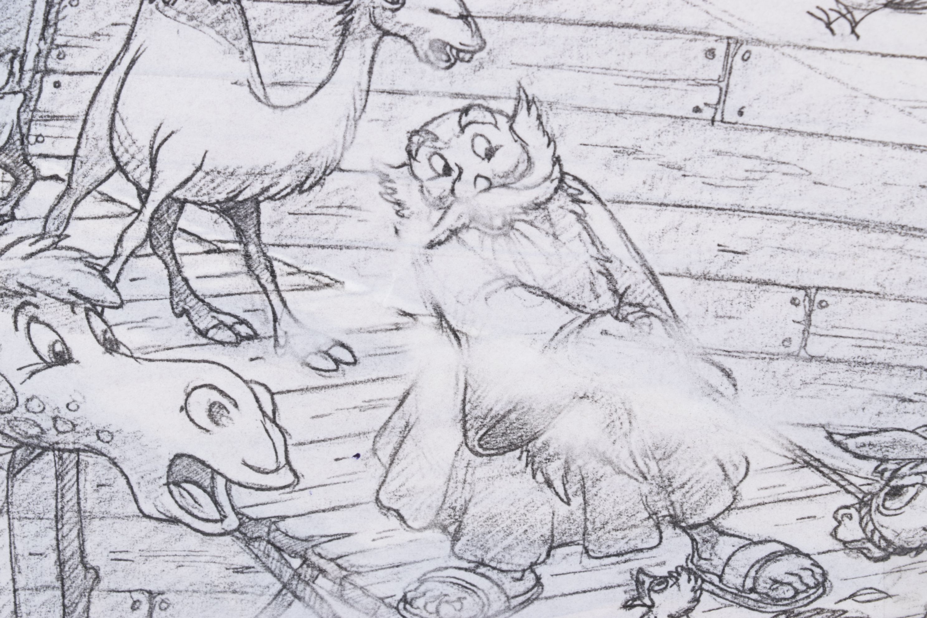 Storyboard Illustrations for Disney's Special Read Along Edition of Noah's Ark