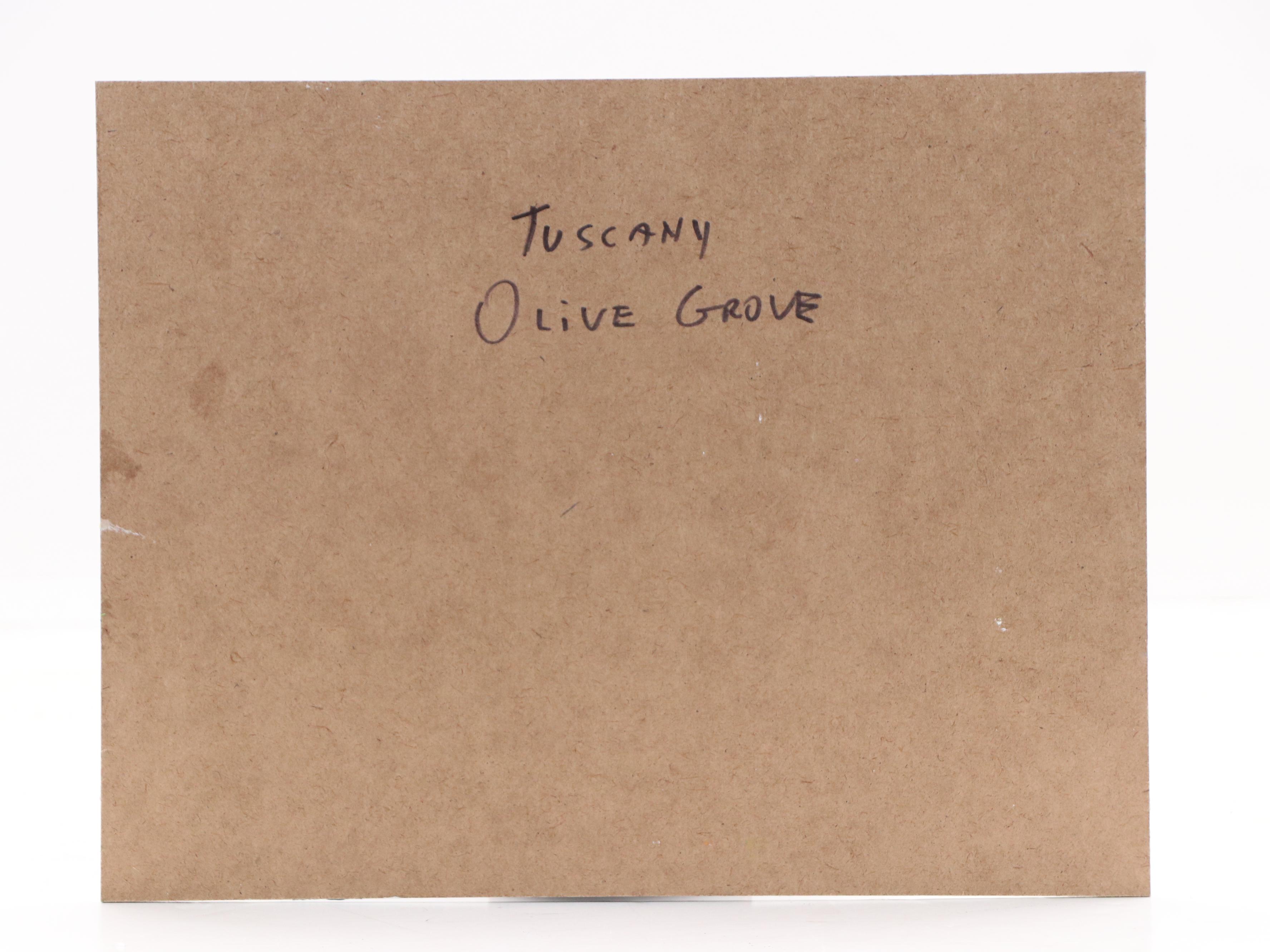 Nino Pippa Landscape Oil Painting "Tuscany - Olive Grove," 2023