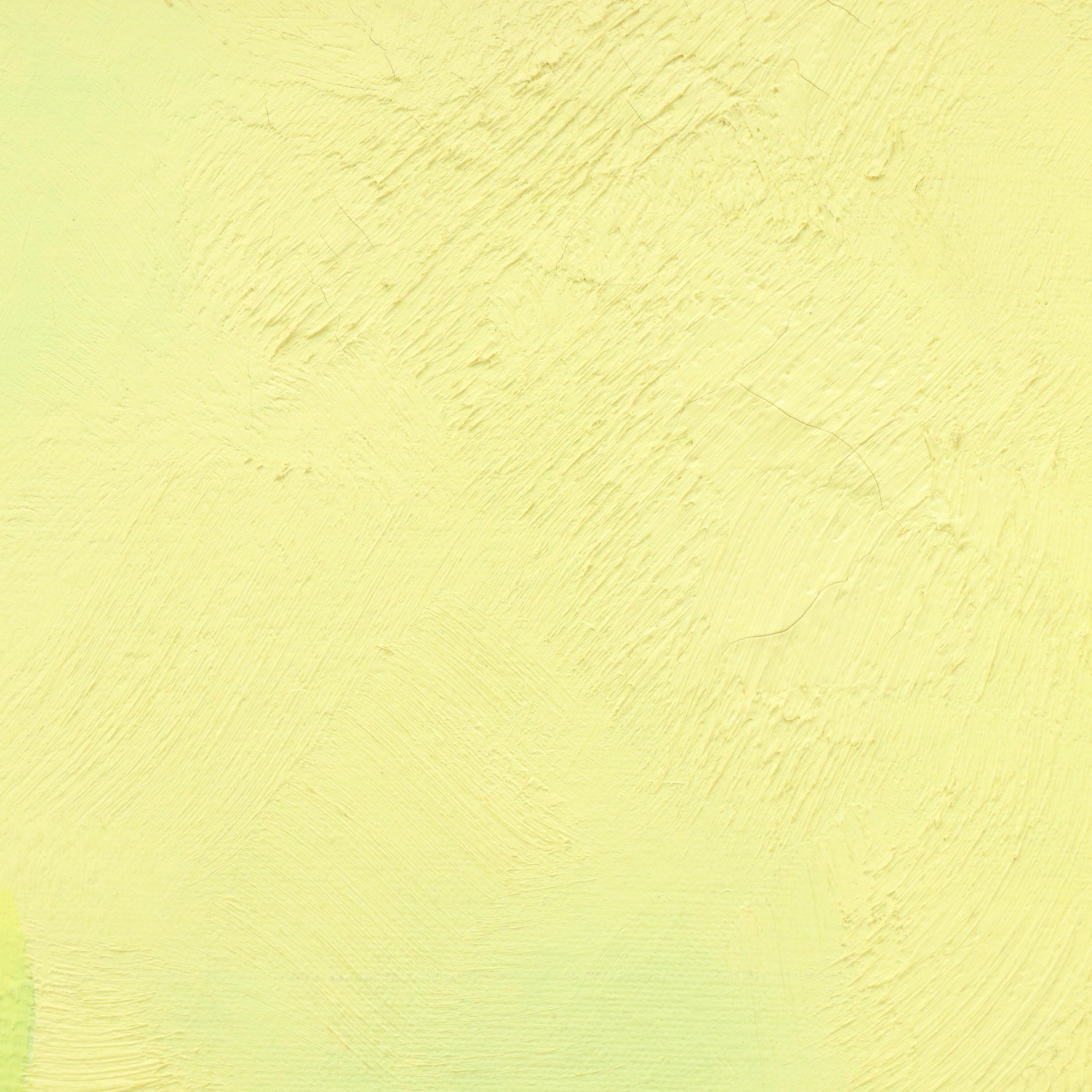 De Mille Diptych Oil Paintings of Dramatic Floral Studies, 21st Century