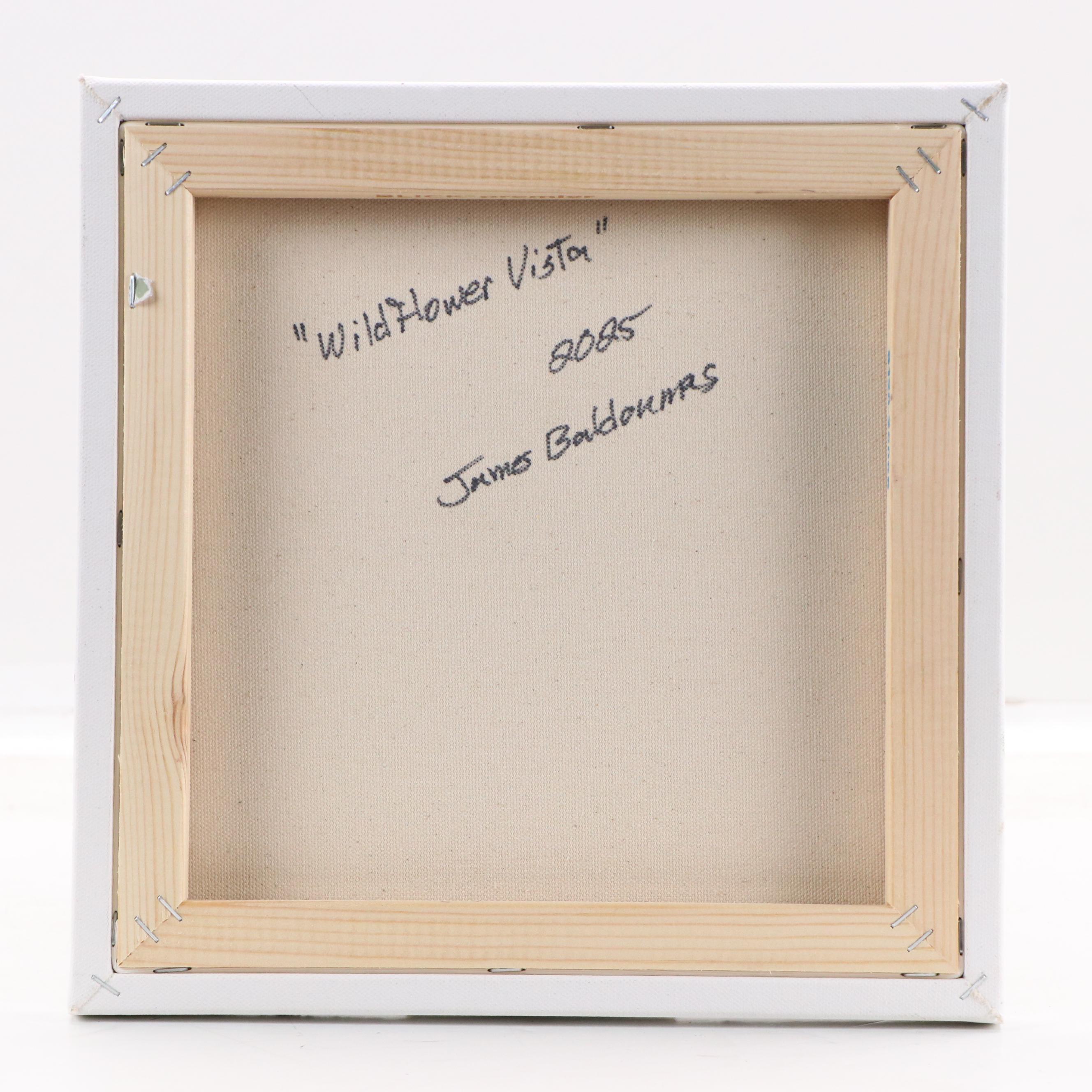 James Baldoumas Landscape Oil Painting "Wildflower Vista," 2025