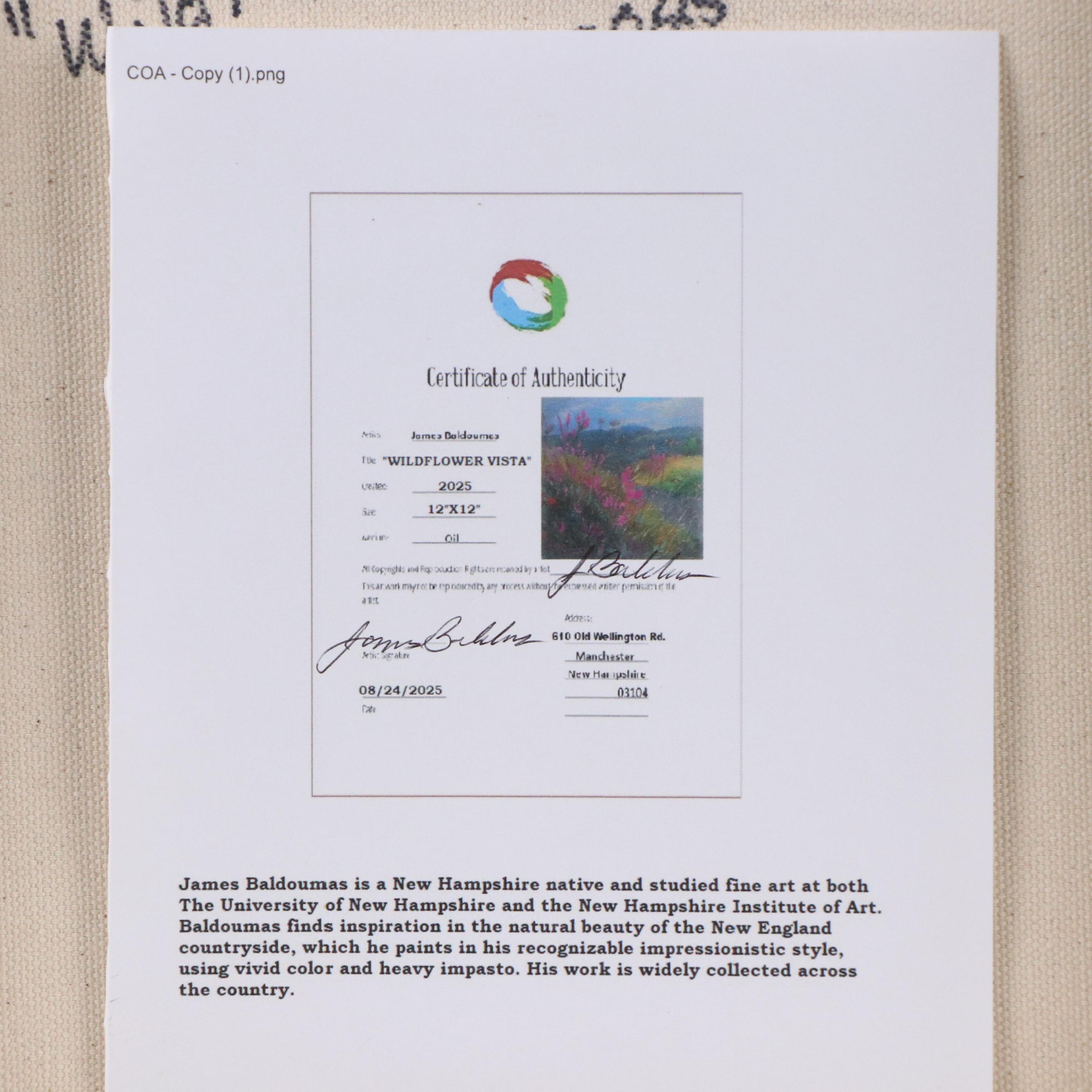 James Baldoumas Landscape Oil Painting "Wildflower Vista," 2025