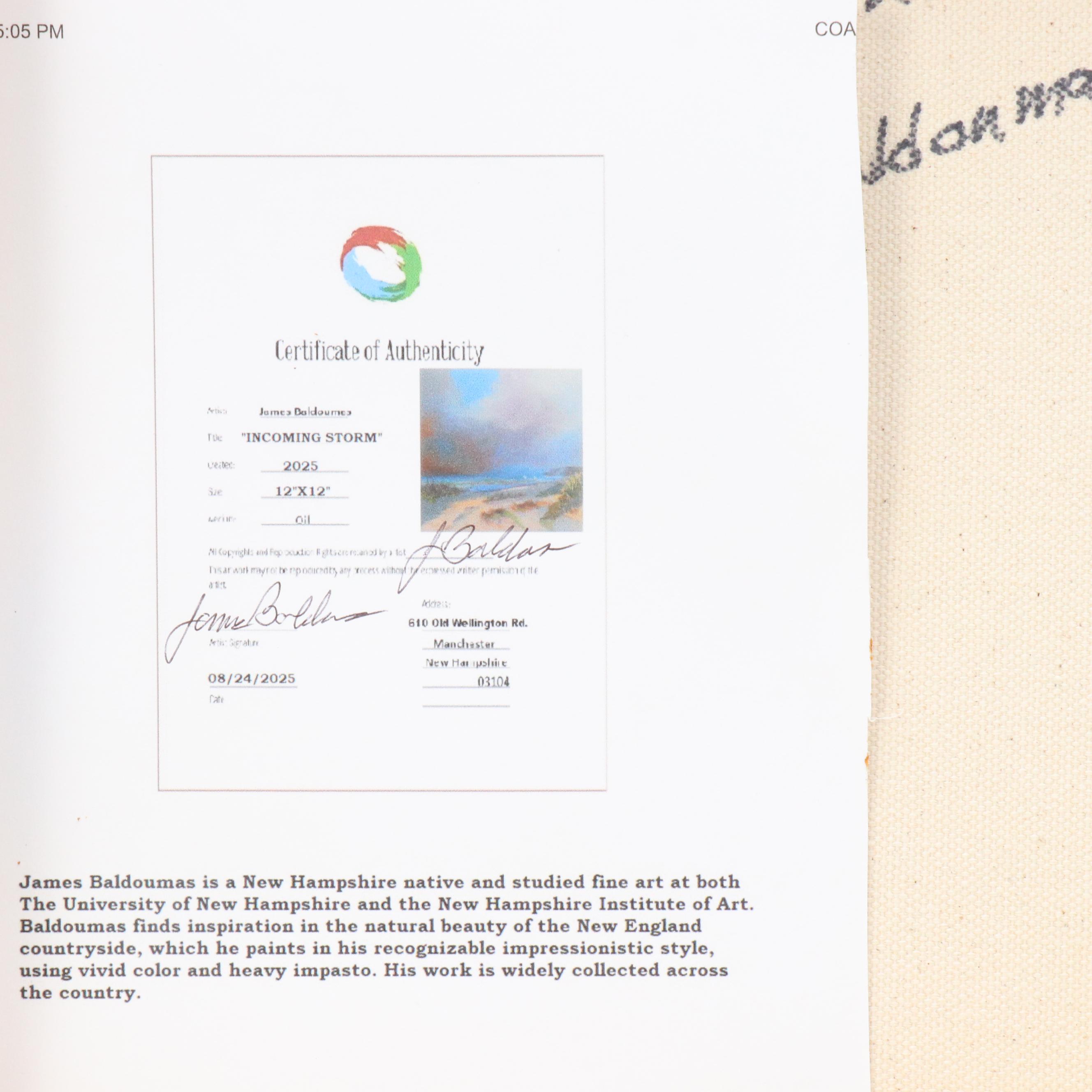 James Baldoumas Beach Landscape Oil Painting "Incoming Storm," 2025