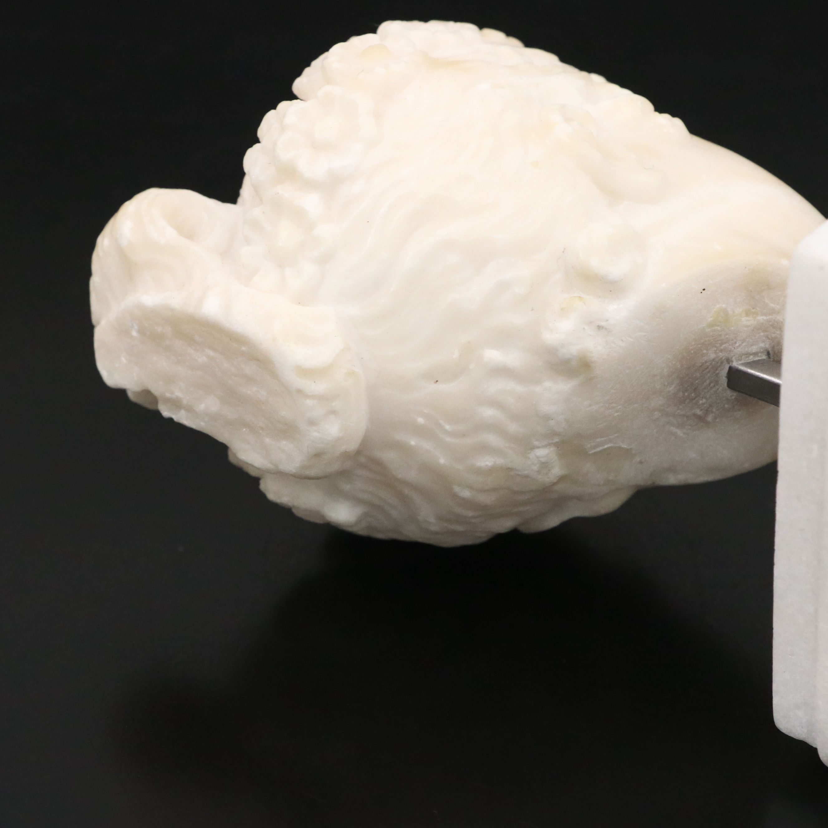 Antique Tour Carved Alabaster Neoclassical Head, 19th Century