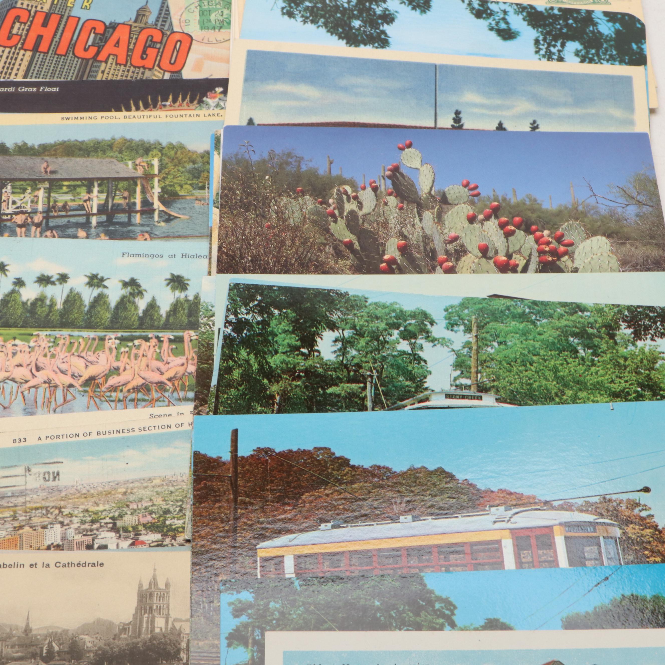 Chicago, New Orleans with Other Souvenir and Seasonal Postcards