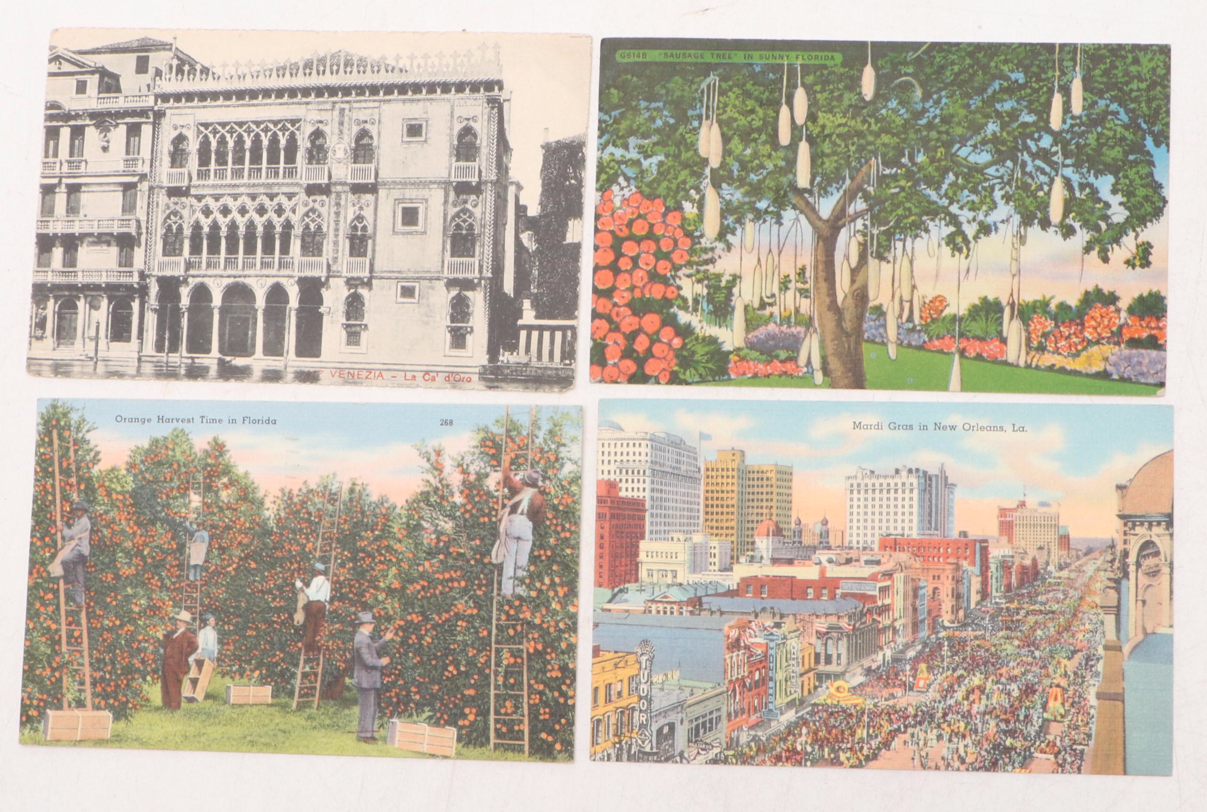 Chicago, New Orleans with Other Souvenir and Seasonal Postcards
