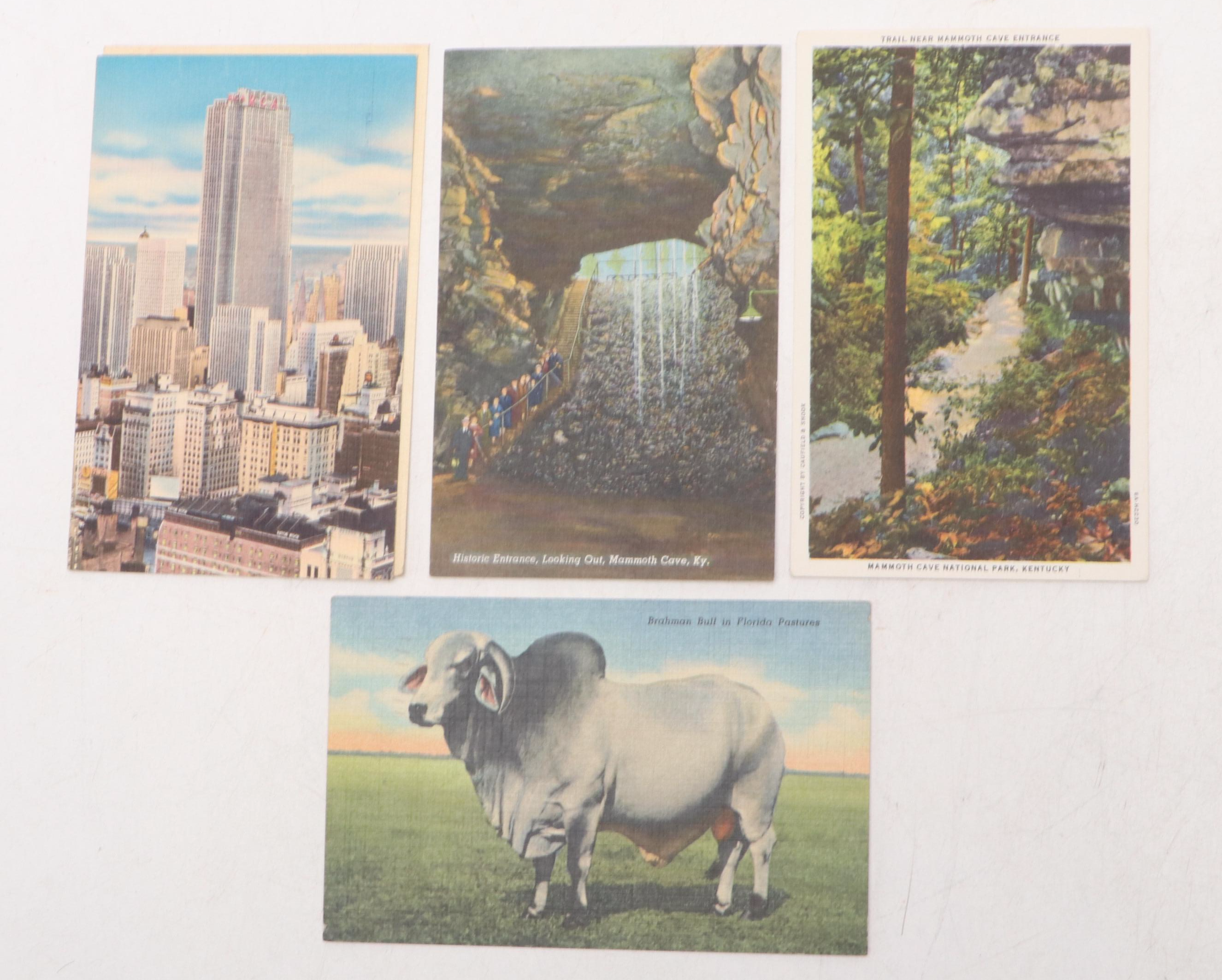 Chicago, New Orleans with Other Souvenir and Seasonal Postcards
