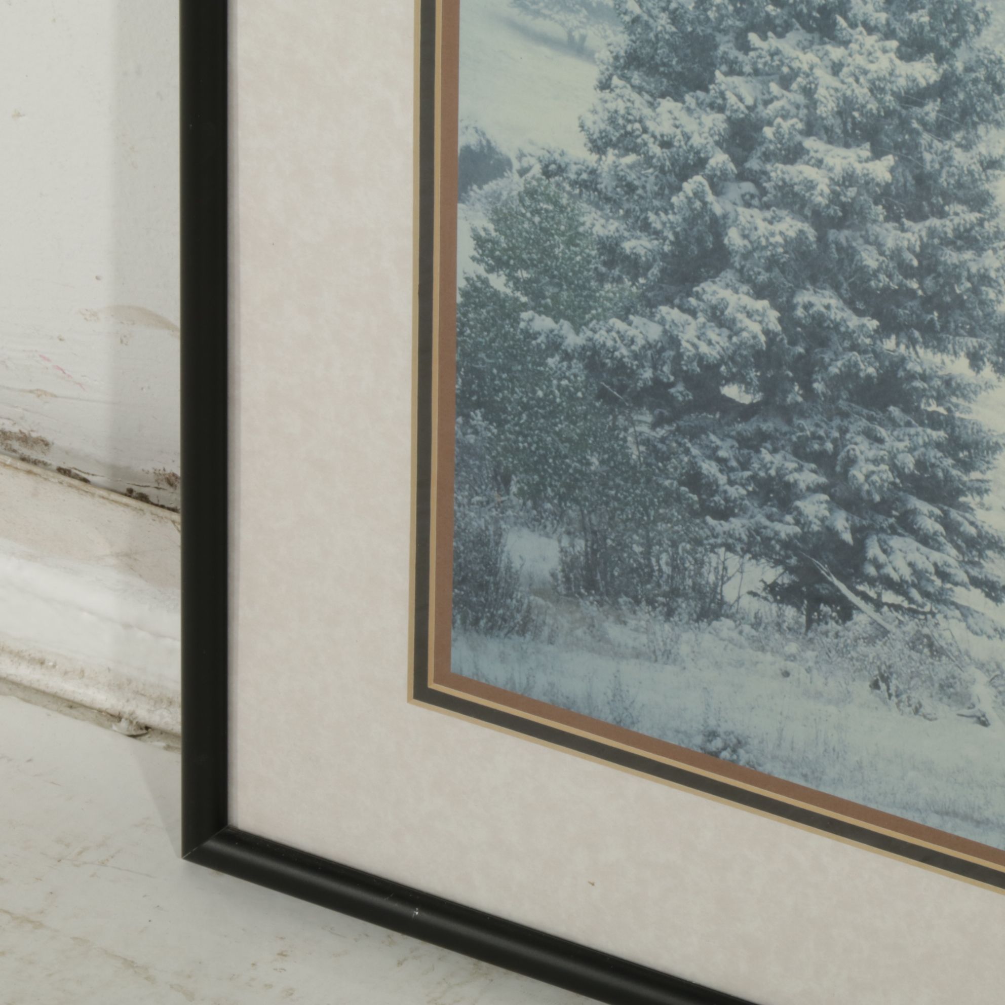 Richard Neuman Photograph "Bull Elk Among Snow and Pine - Colorado"