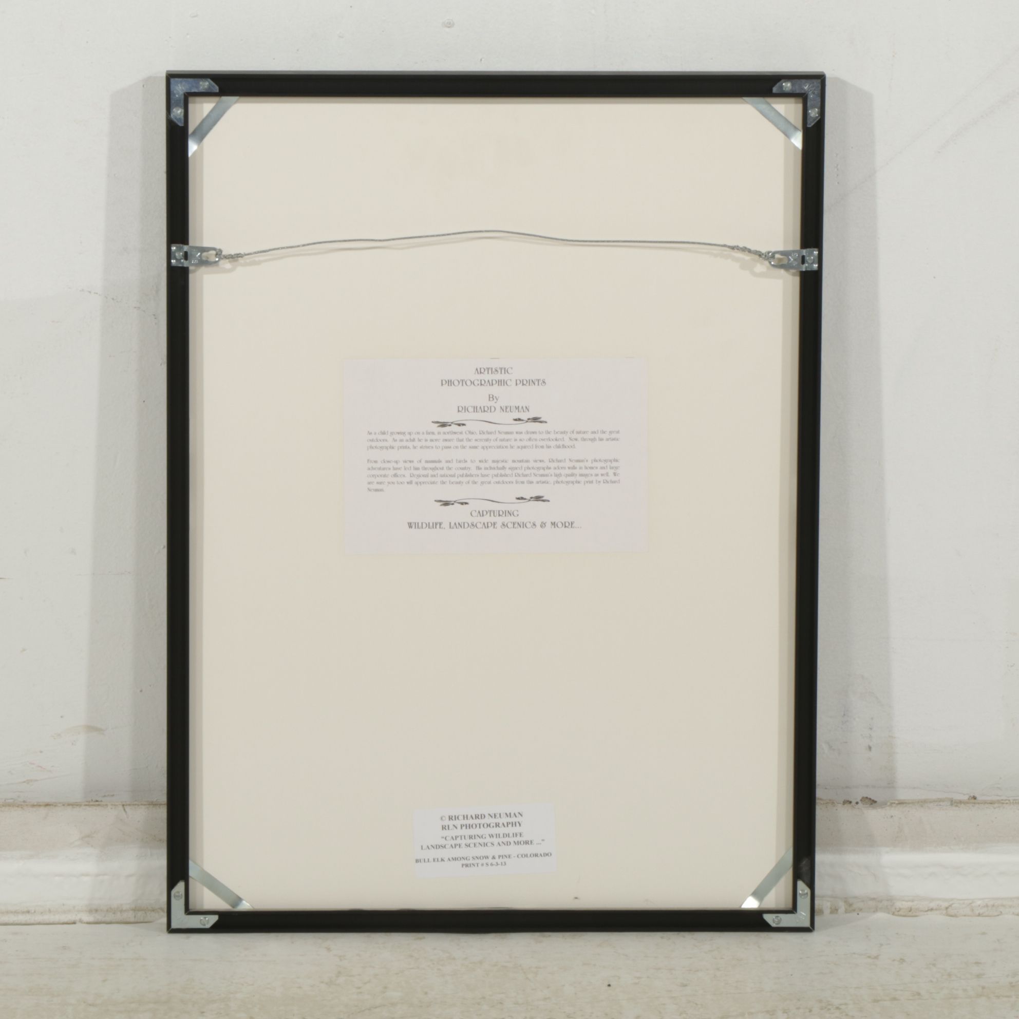 Richard Neuman Photograph "Bull Elk Among Snow and Pine - Colorado"