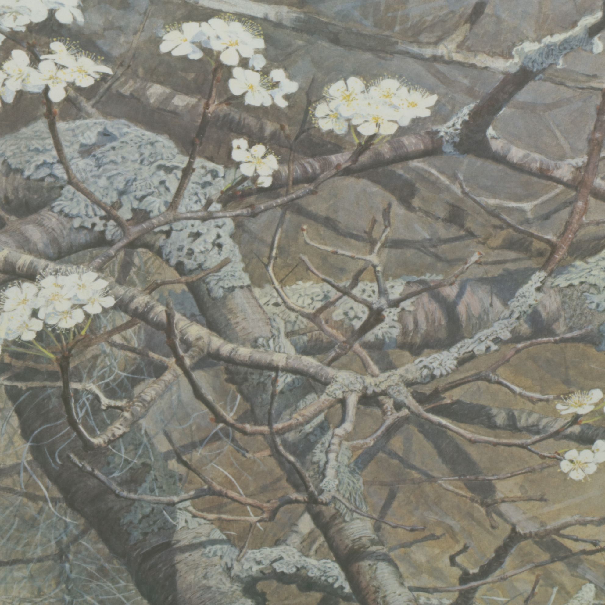 Lars Jonsson "Signals of Spring" Offset Lithograph, 1984