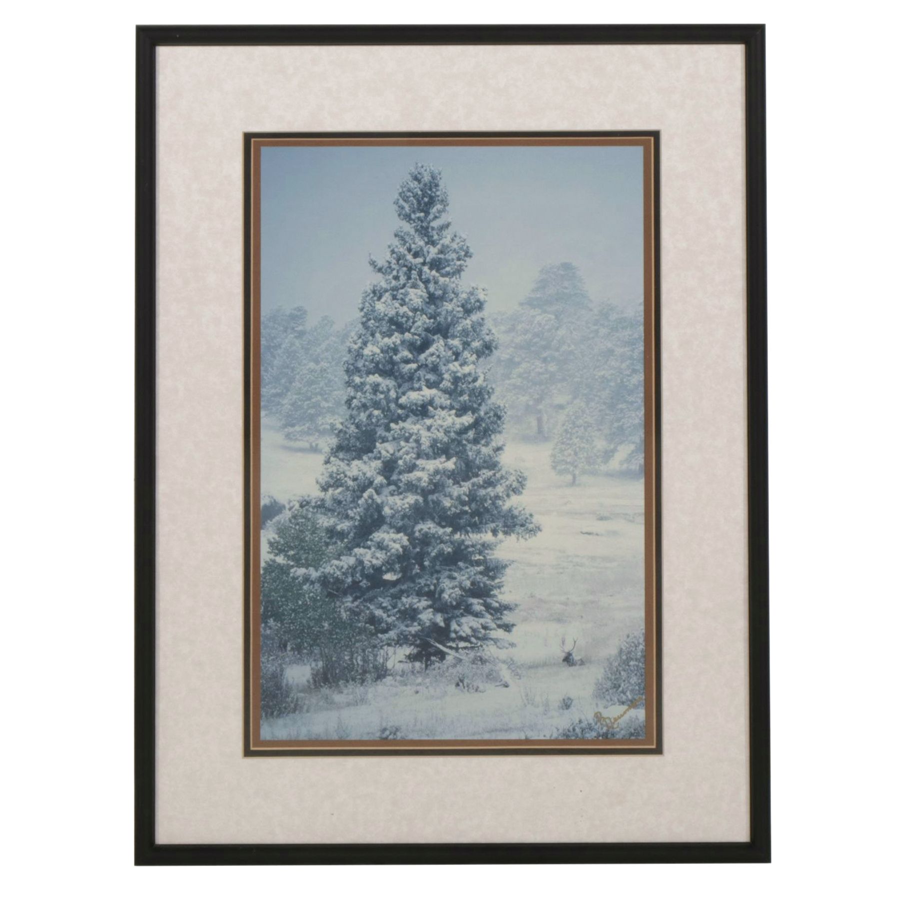Richard Neuman Photograph "Bull Elk Among Snow and Pine - Colorado"