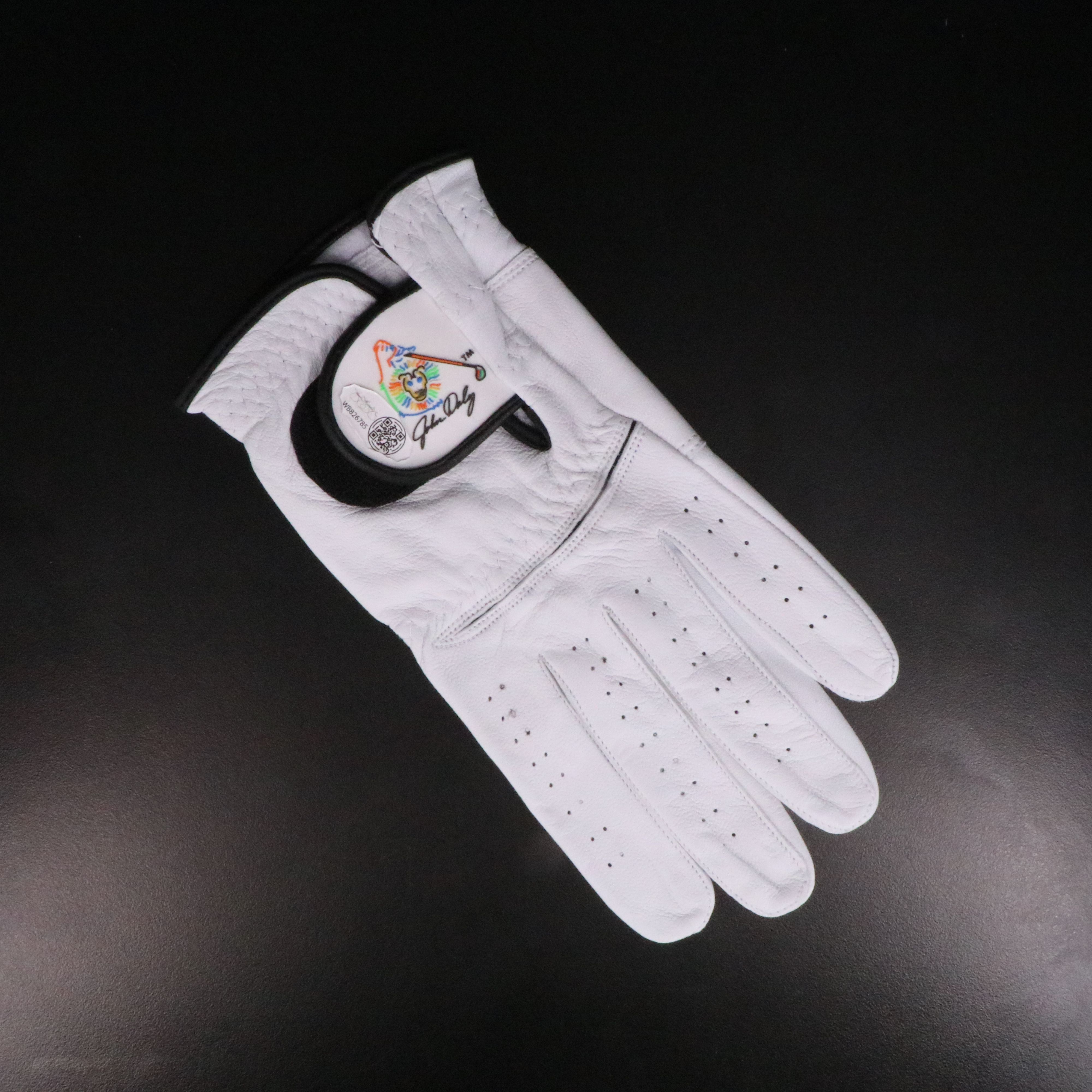 Jon Daly Signed Golf Glove, JSA