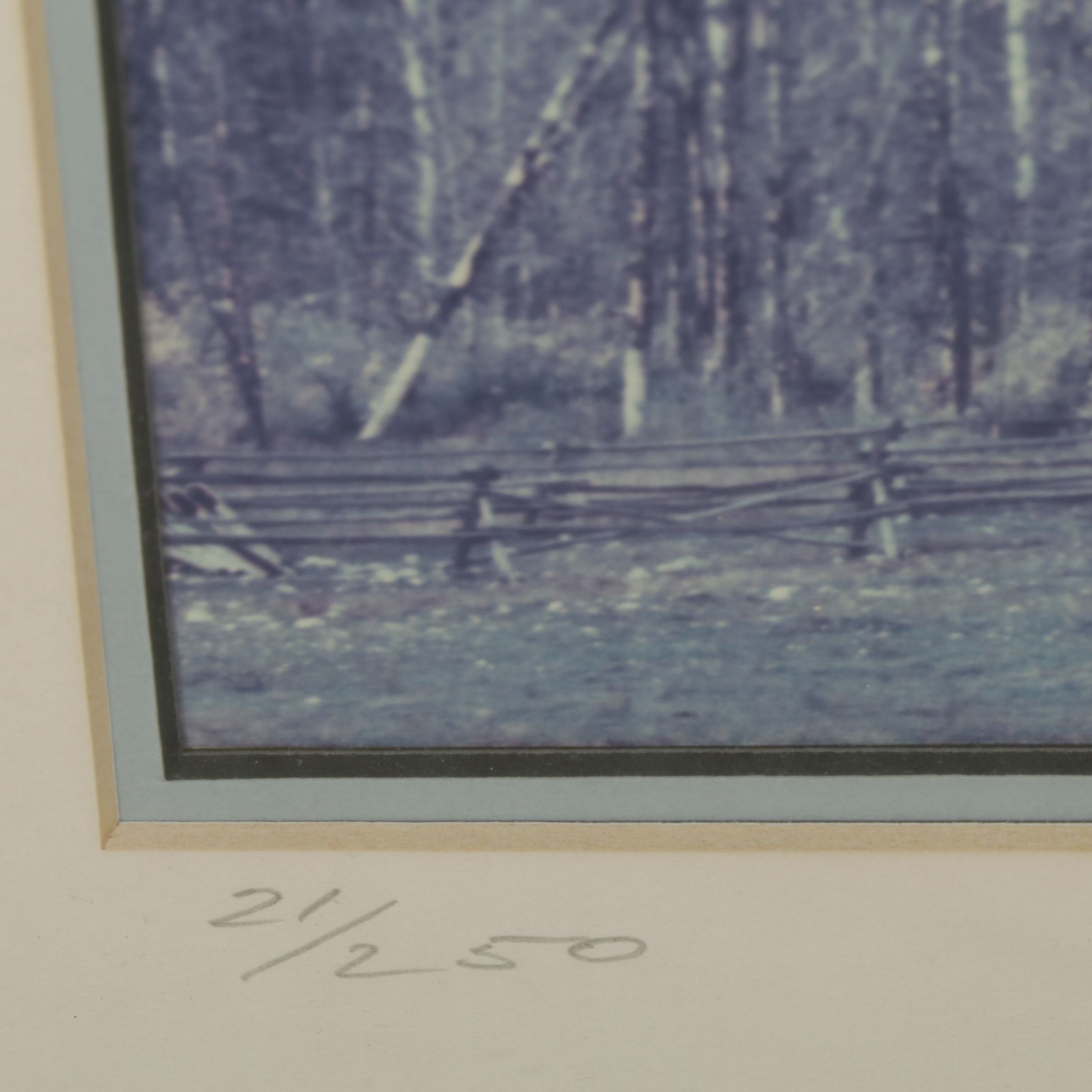 Blue Monochrome Montane Forest Landscape Photograph , 1989