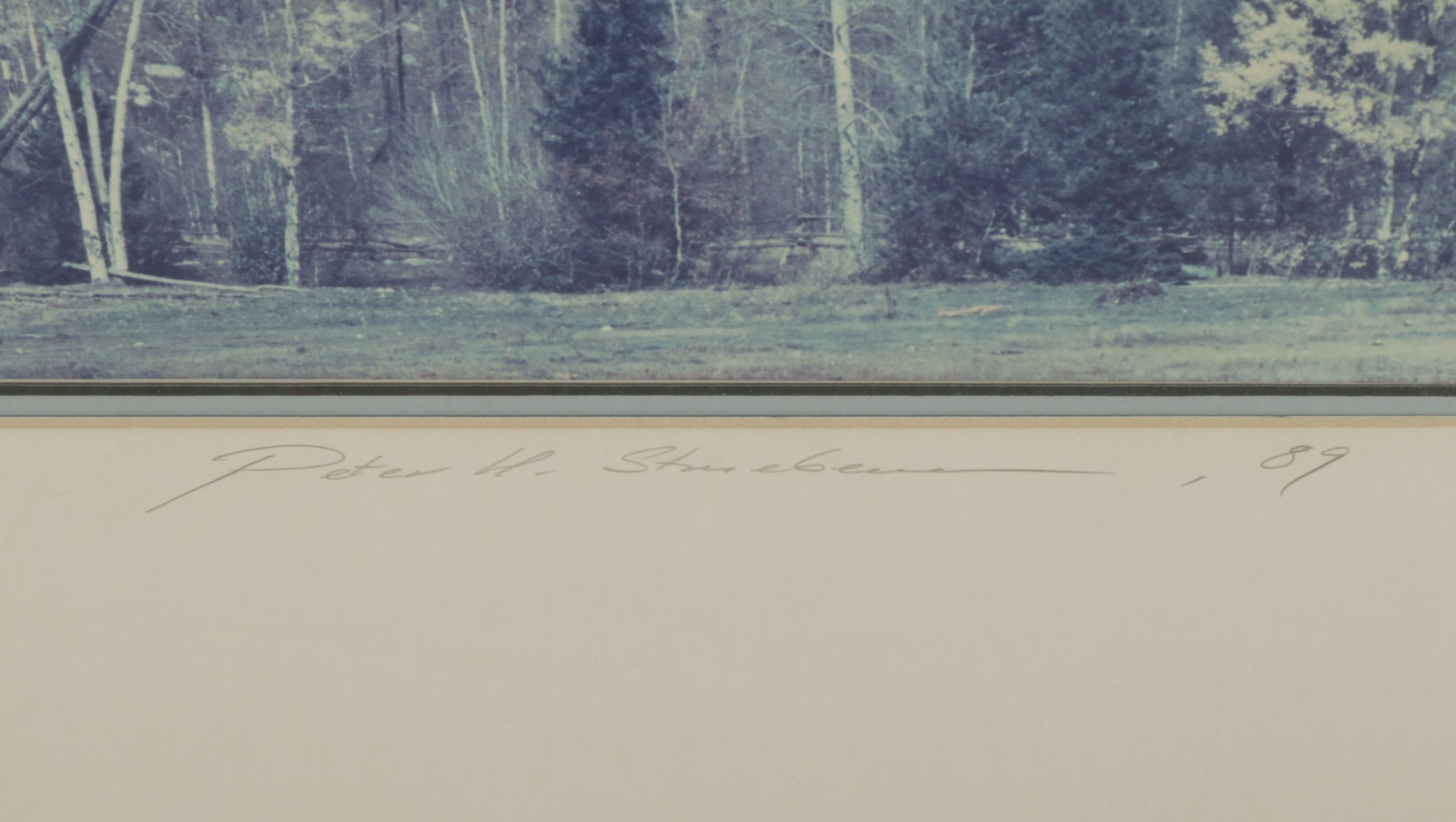 Blue Monochrome Montane Forest Landscape Photograph , 1989