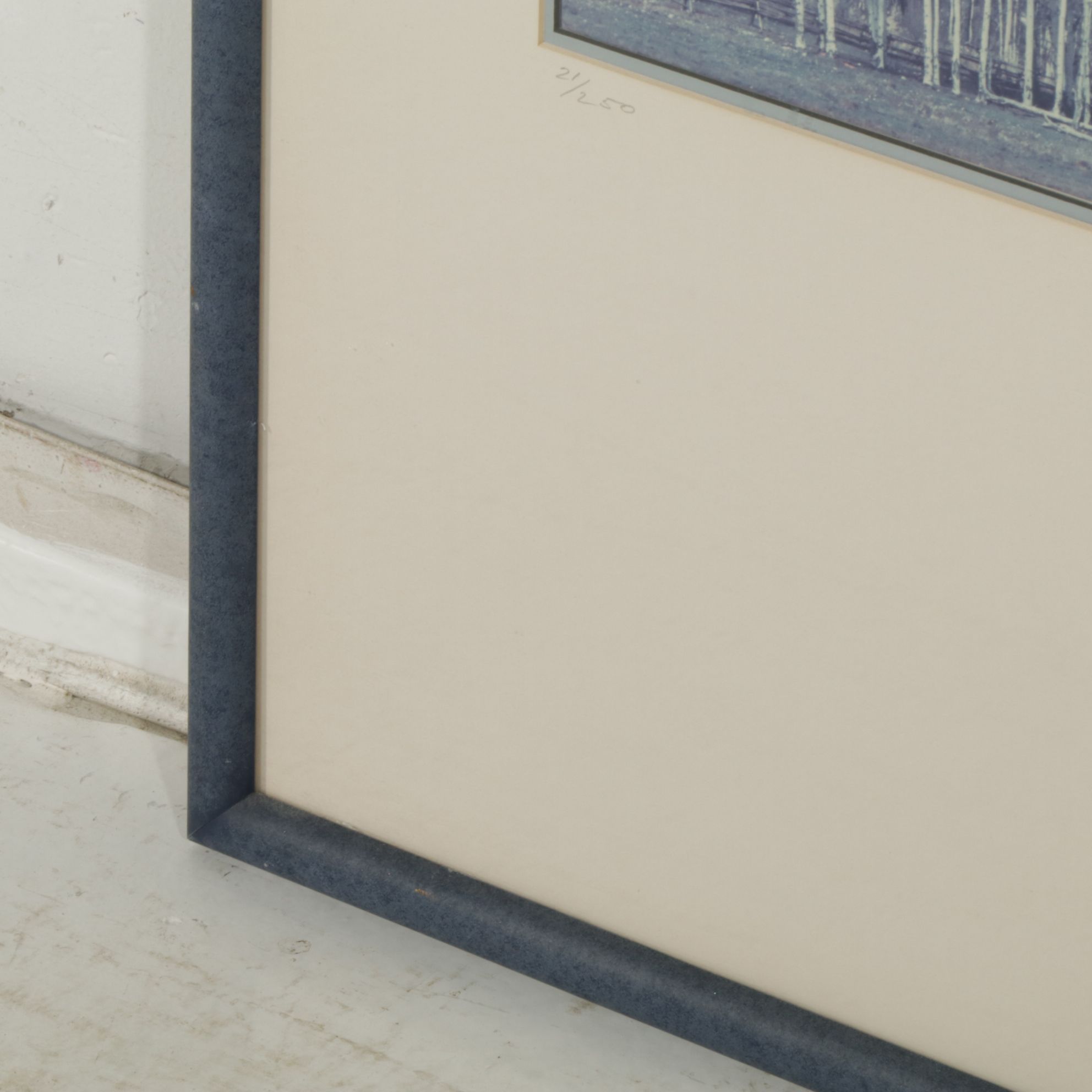 Blue Monochrome Montane Forest Landscape Photograph , 1989