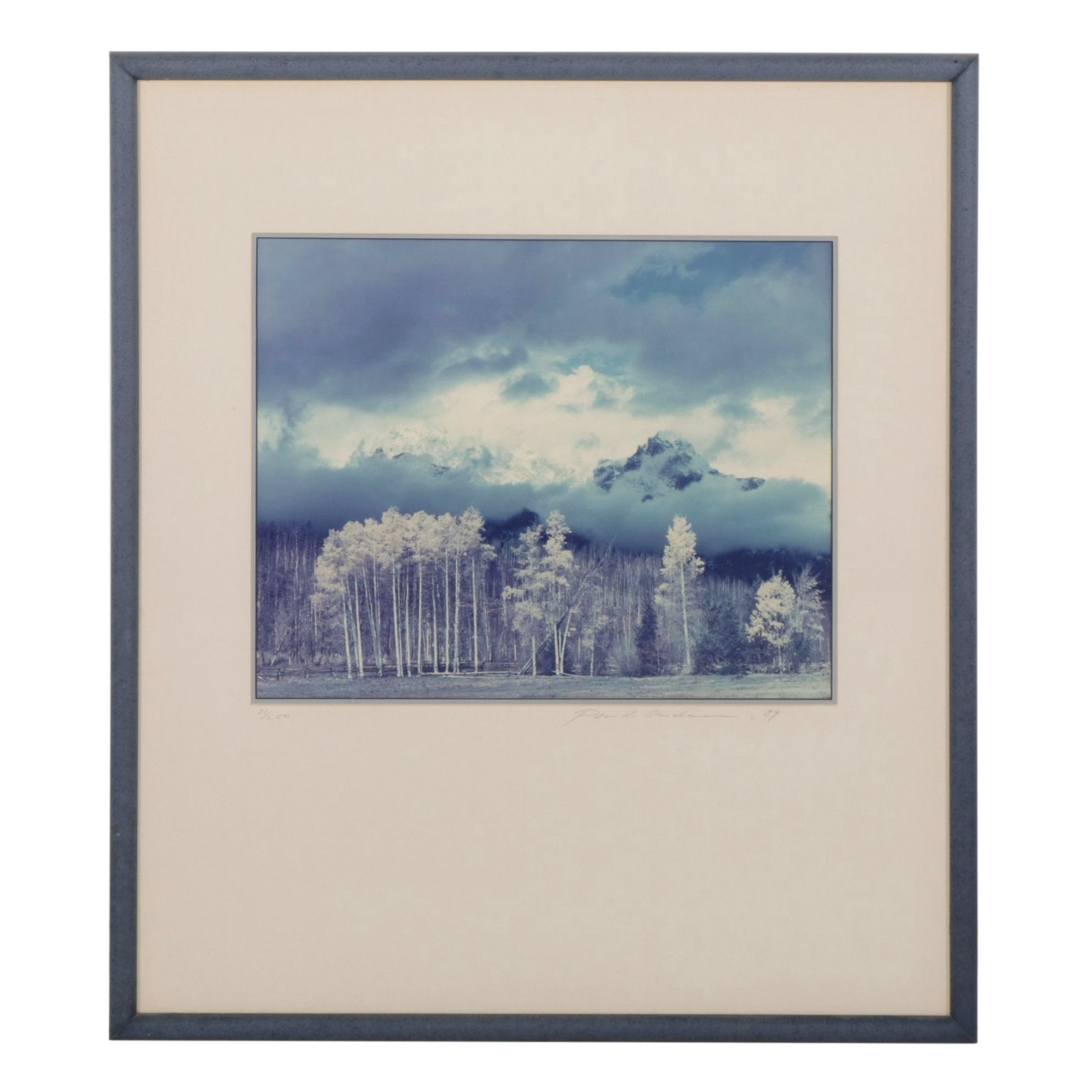 Blue Monochrome Montane Forest Landscape Photograph , 1989