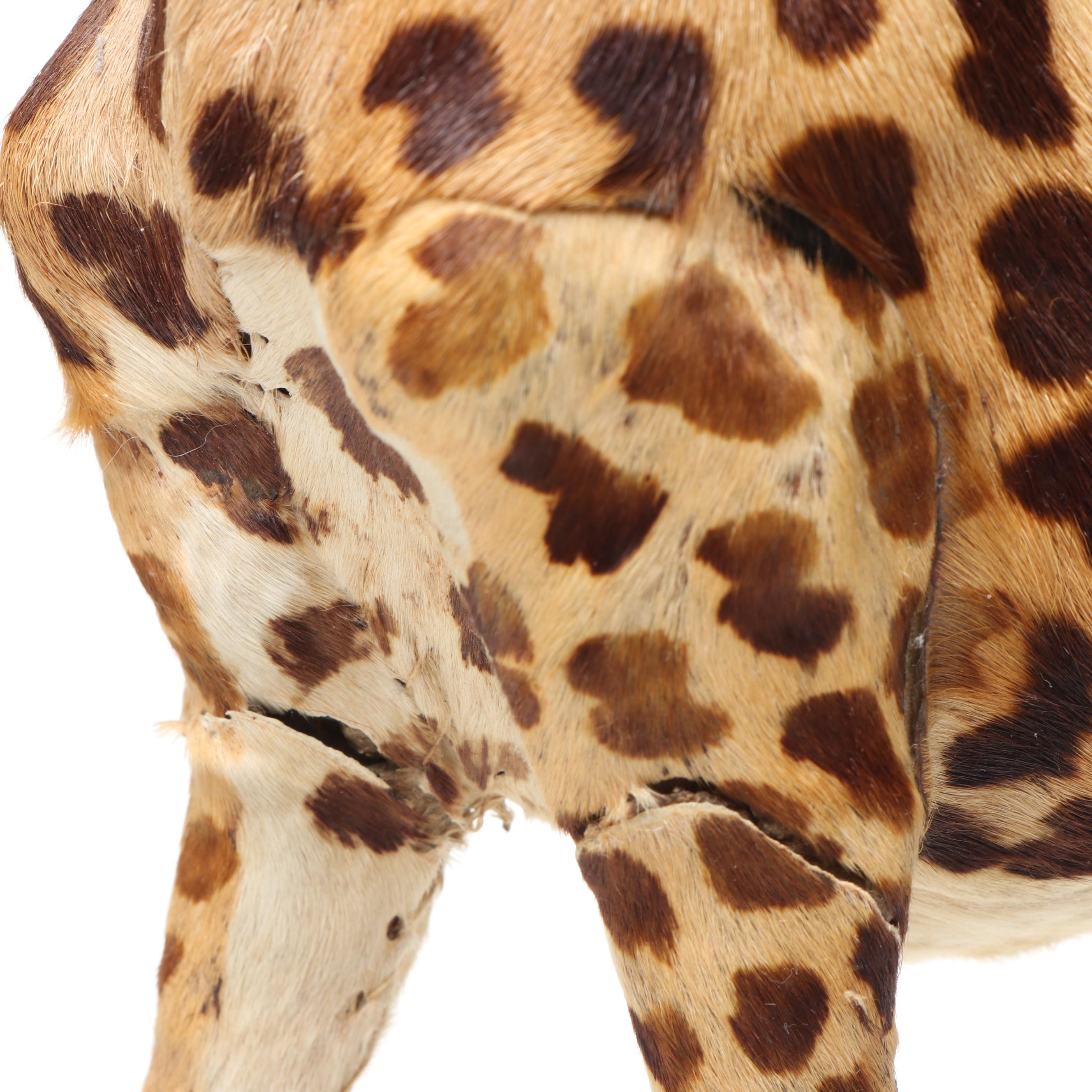 Pierced Sheet Metal Giraffe Votive Holder with Other Giraffe Décor