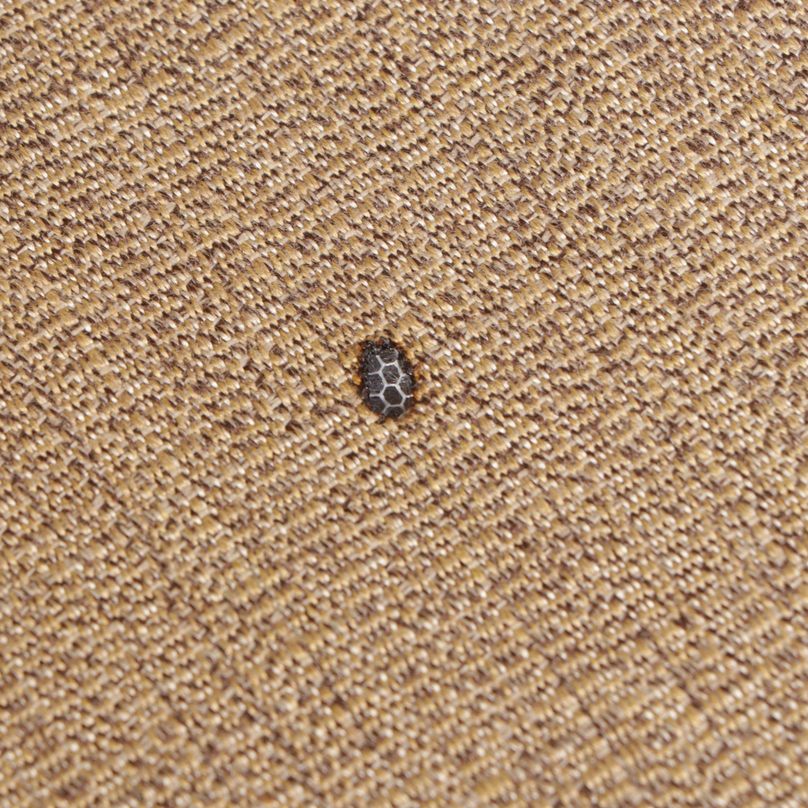 Cast Metal Five-Piece Patio Low Dining Set with Umbrella