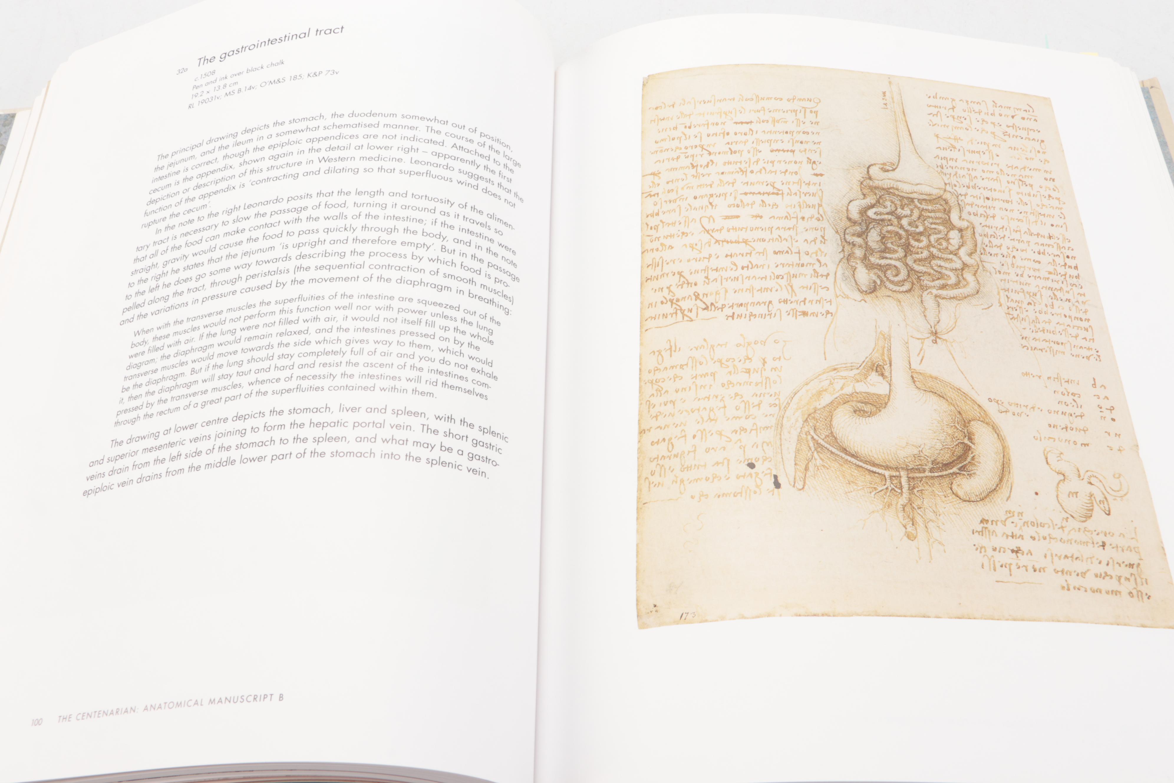 Illustrated "Leonardo da Vinci: Anatomist" by Martin Clayton and Ron Philo, 2012