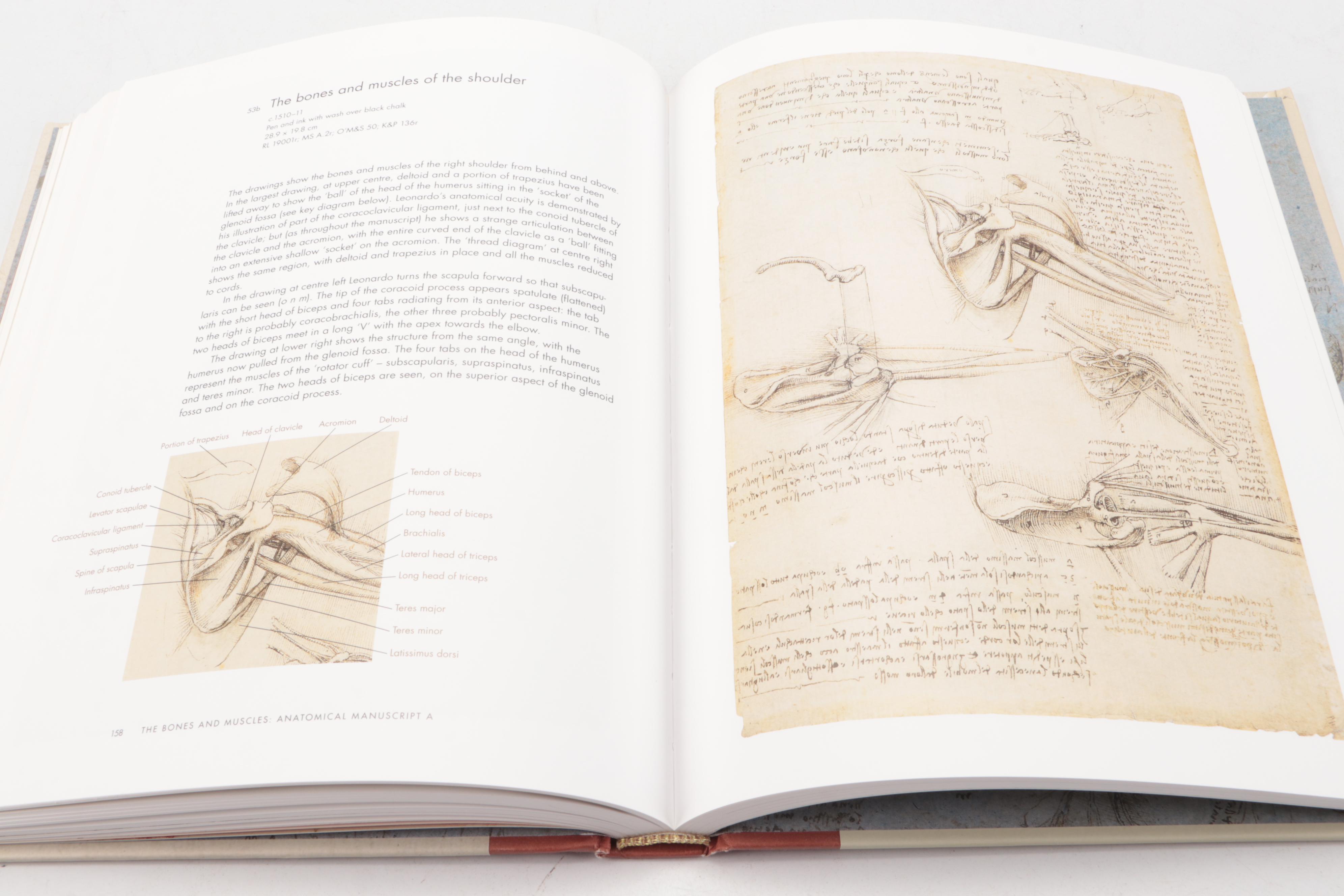 Illustrated "Leonardo da Vinci: Anatomist" by Martin Clayton and Ron Philo, 2012