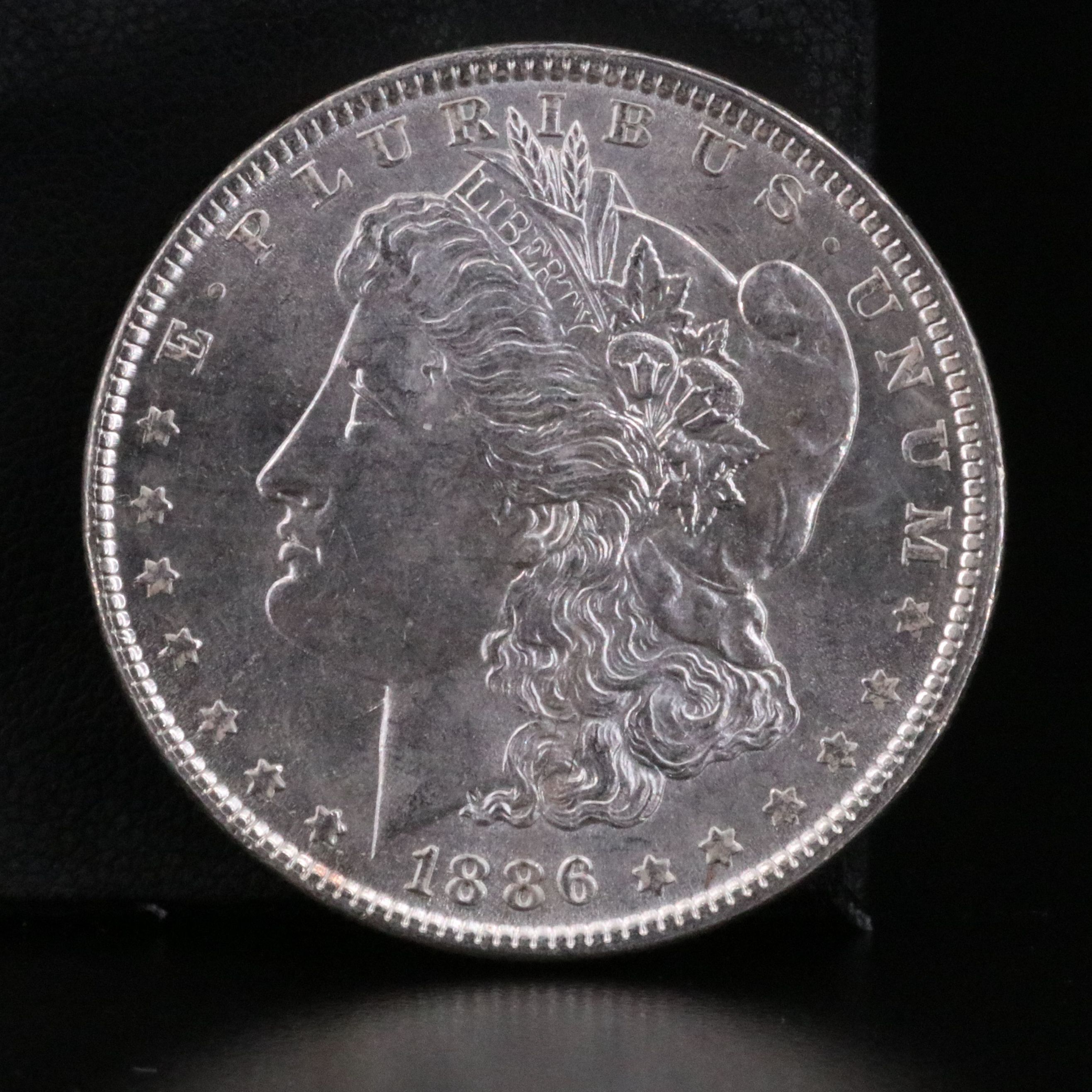 1886 Morgan Silver Dollar