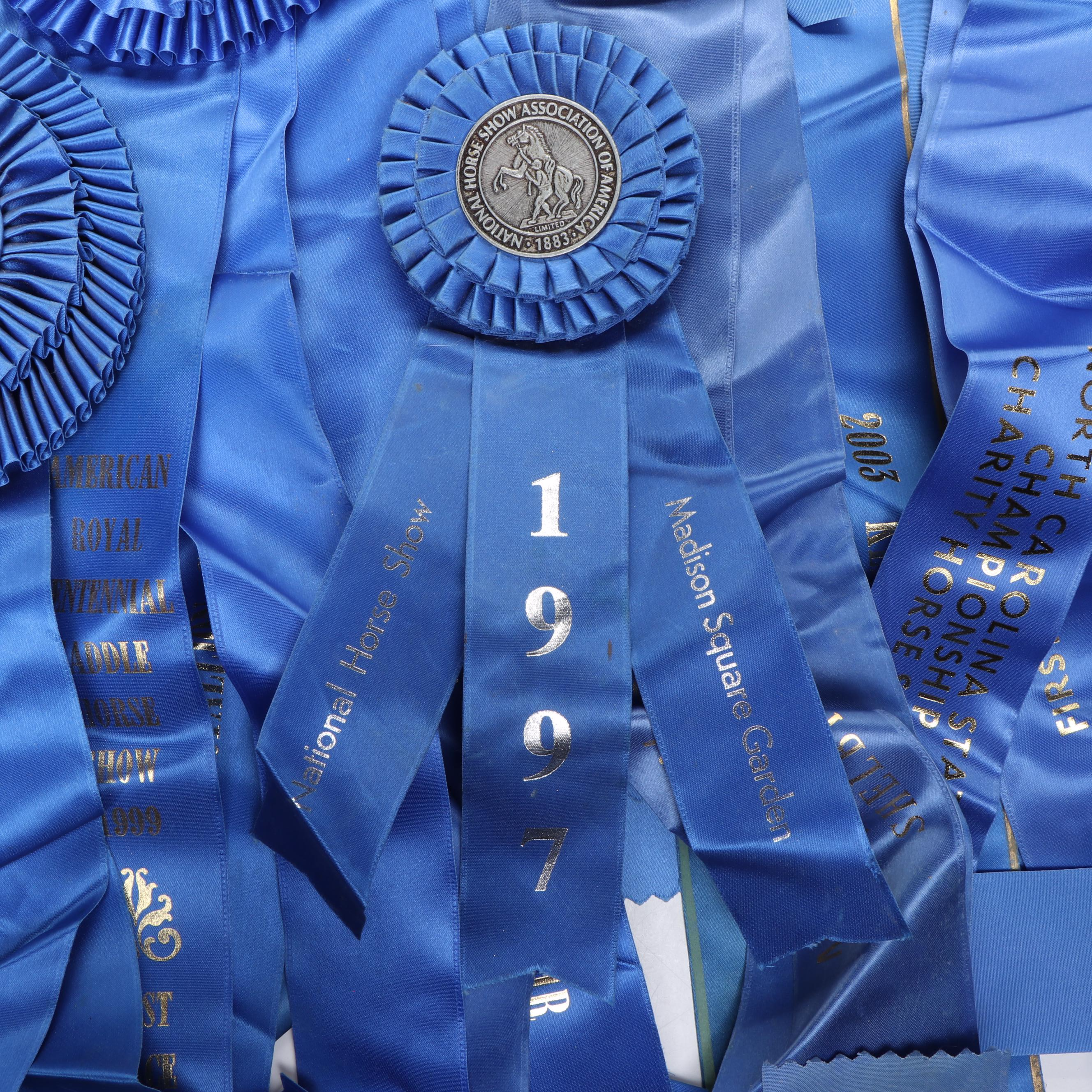 Paul DeLott Co. Equestrian Blue Ribbon Awards