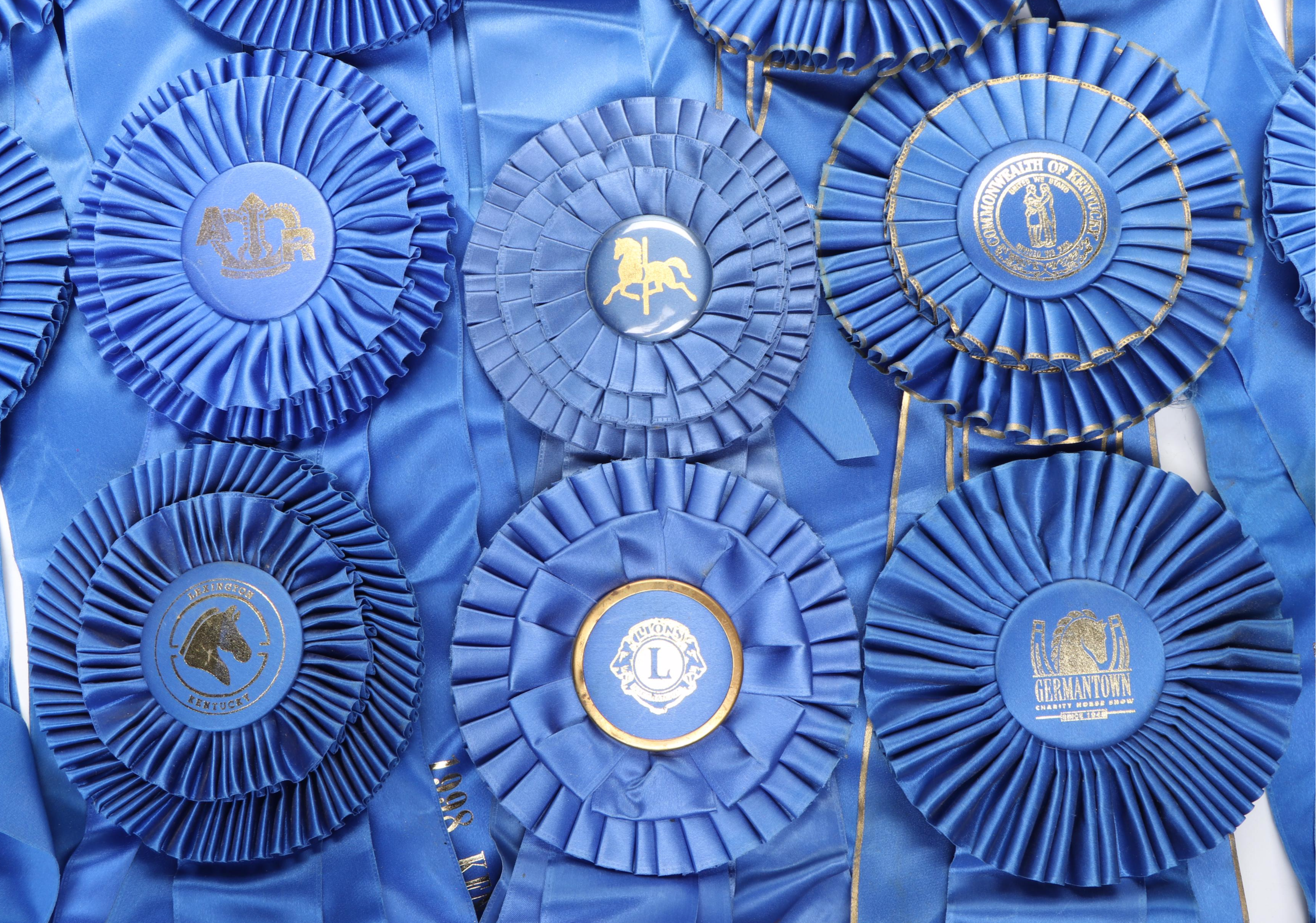 Paul DeLott Co. Equestrian Blue Ribbon Awards