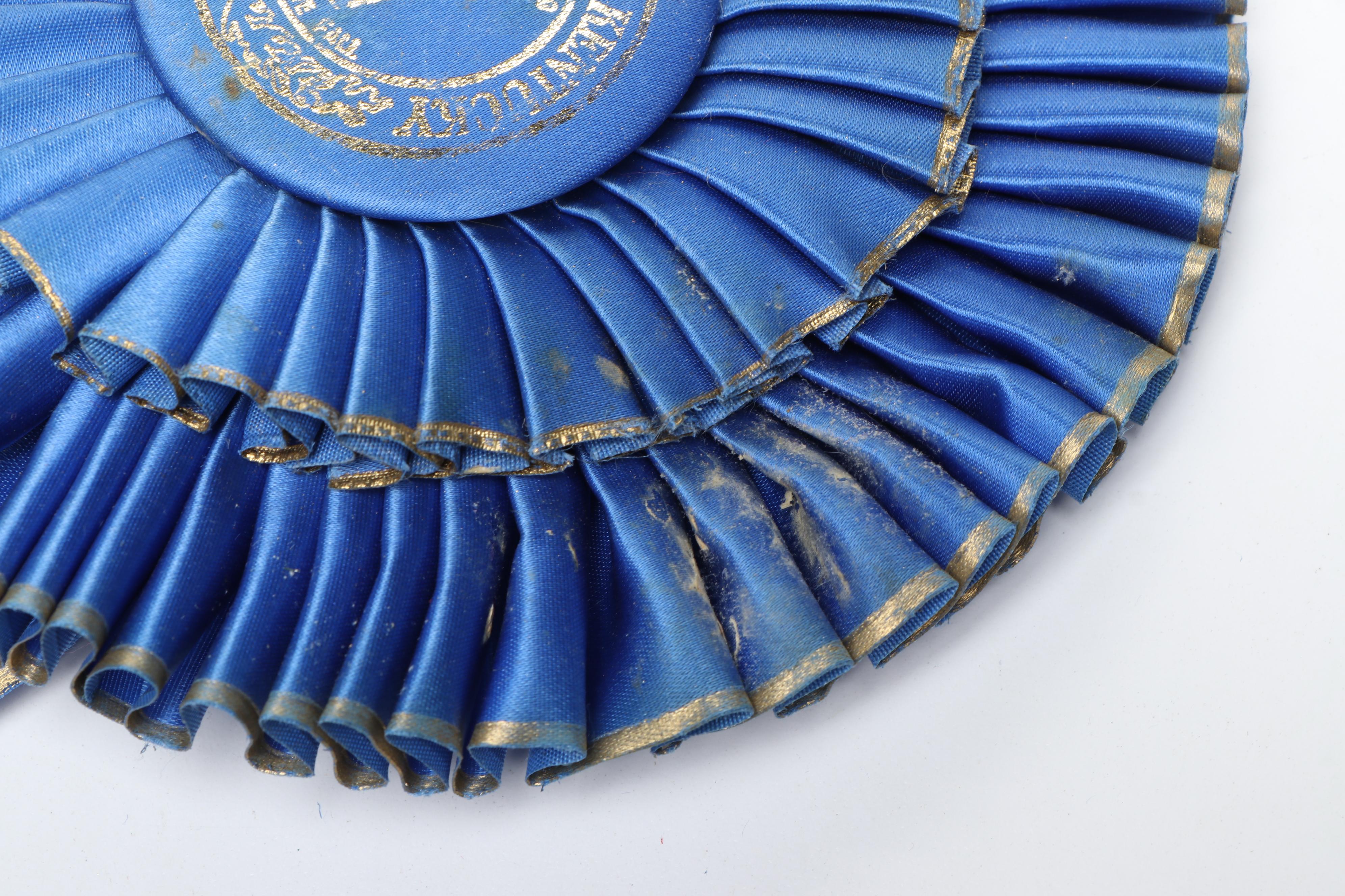 Paul DeLott Co. Equestrian Blue Ribbon Awards