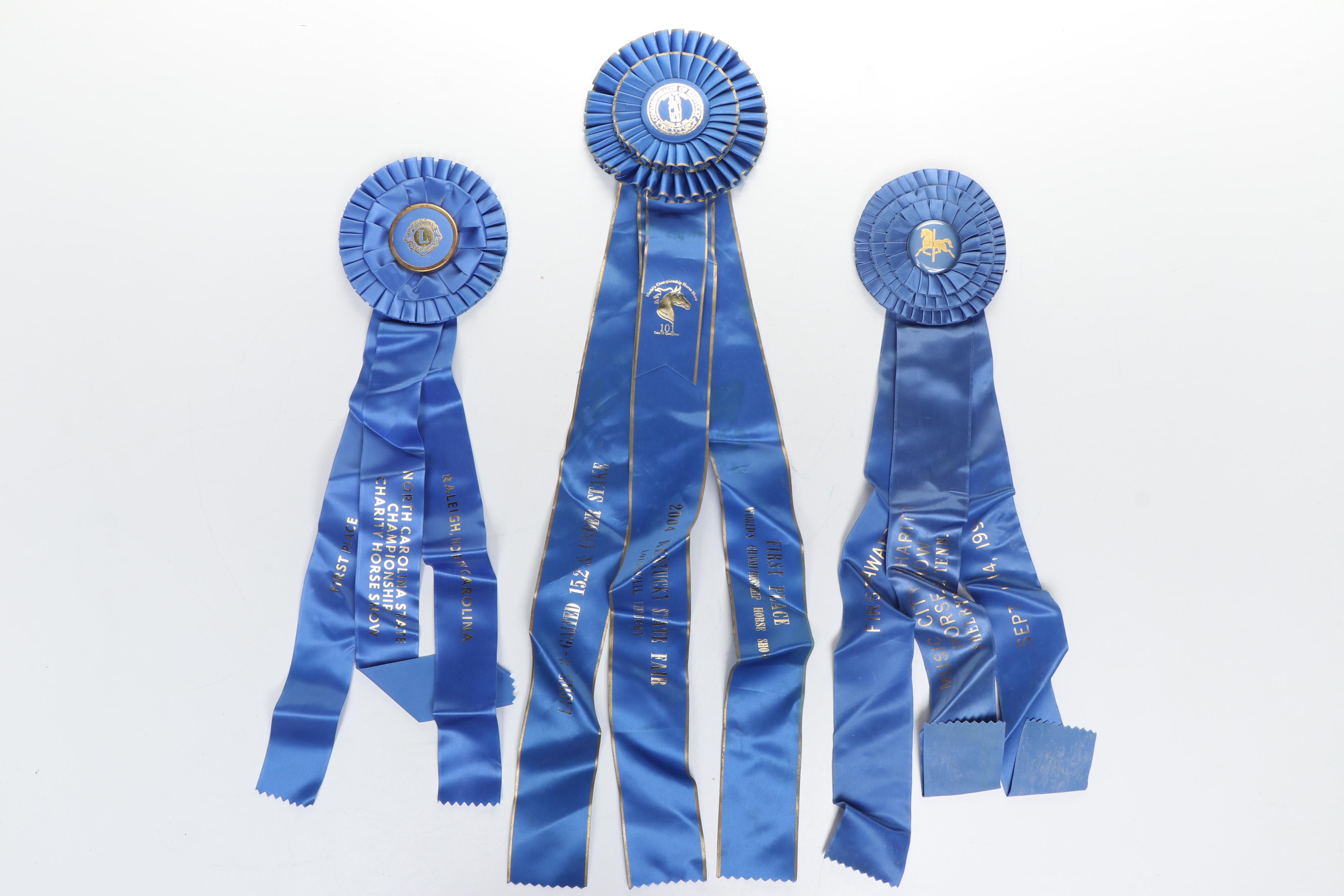 Paul DeLott Co. Equestrian Blue Ribbon Awards