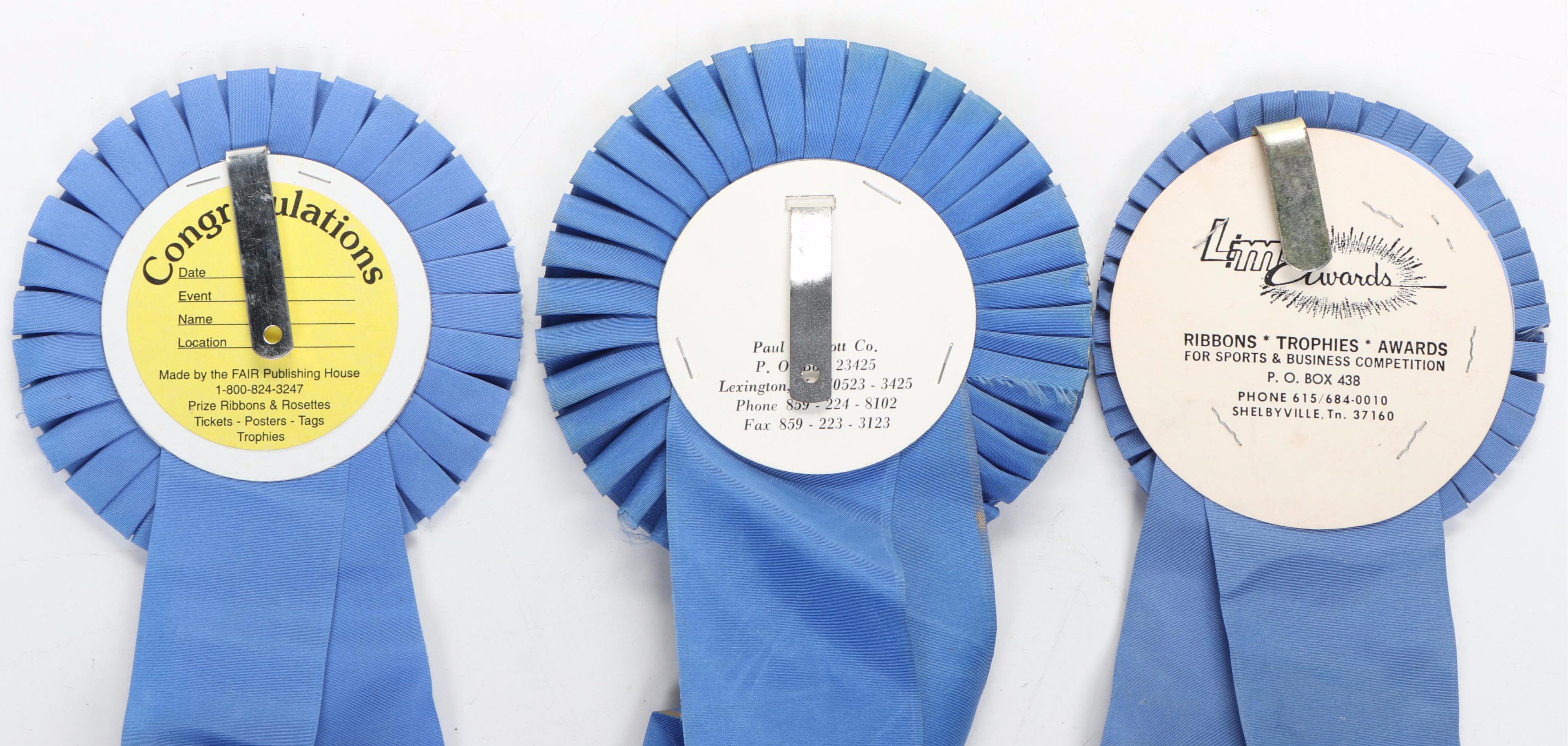 Paul DeLott Co. Equestrian Blue Ribbon Awards