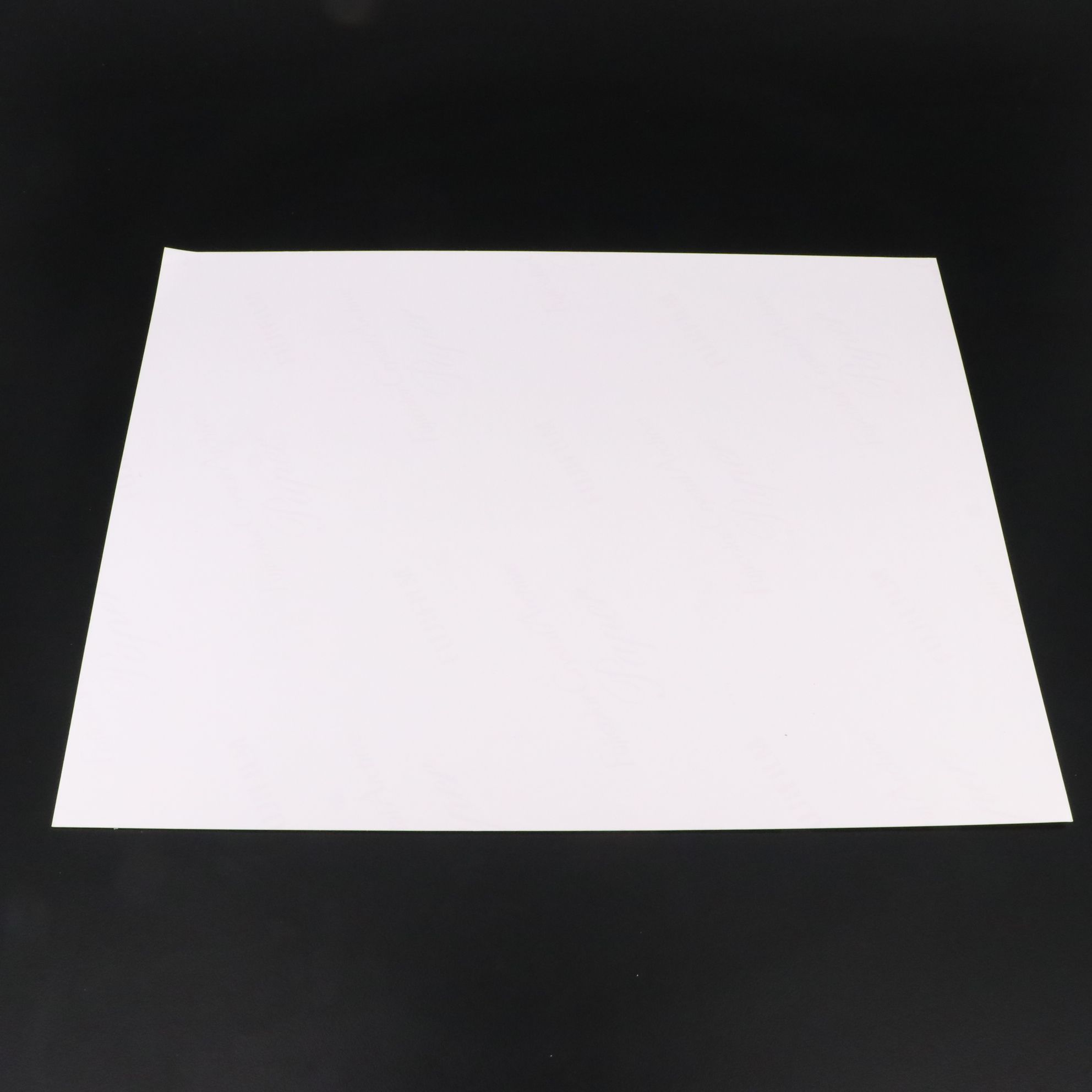 Jacqueline Bisset Signed "The Deep" Movie Print