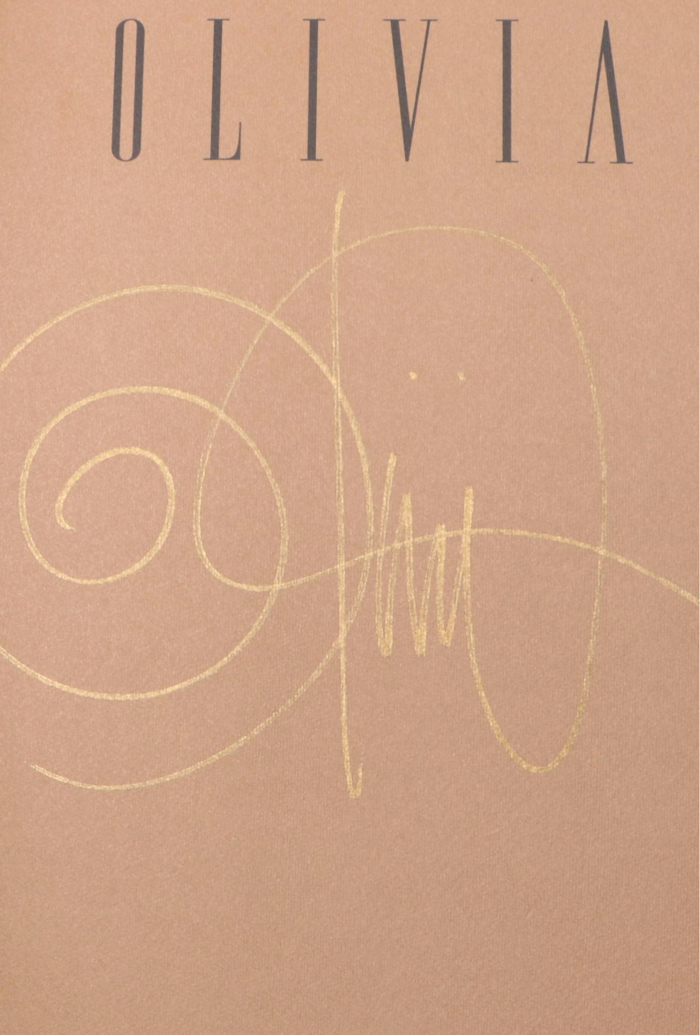 Olivia De Berardinis Catalogue Raisonné, 1996