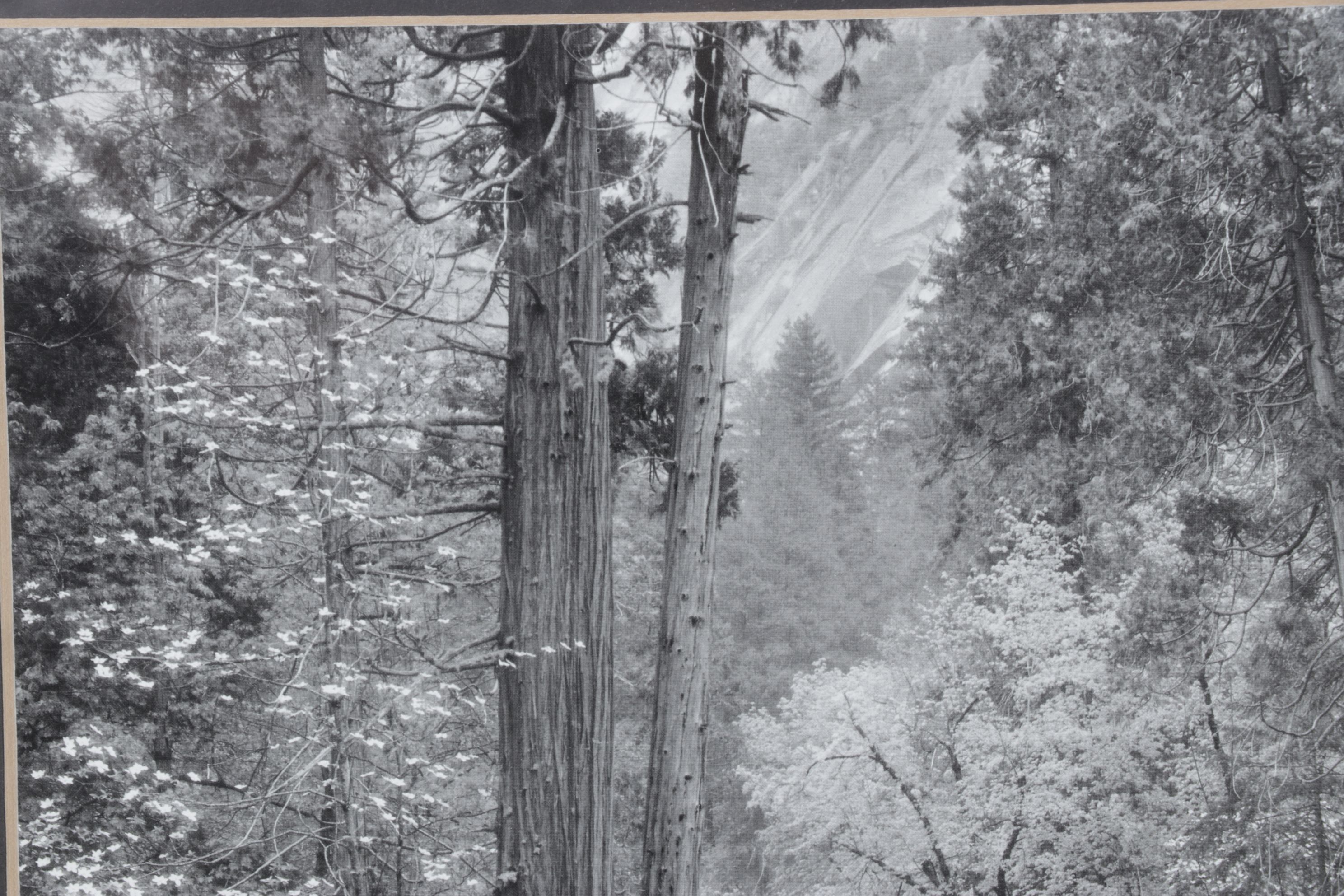 Ansel Adams "Tenaya Creek" Offset Lithograph, Late 20th to Early 21st Century